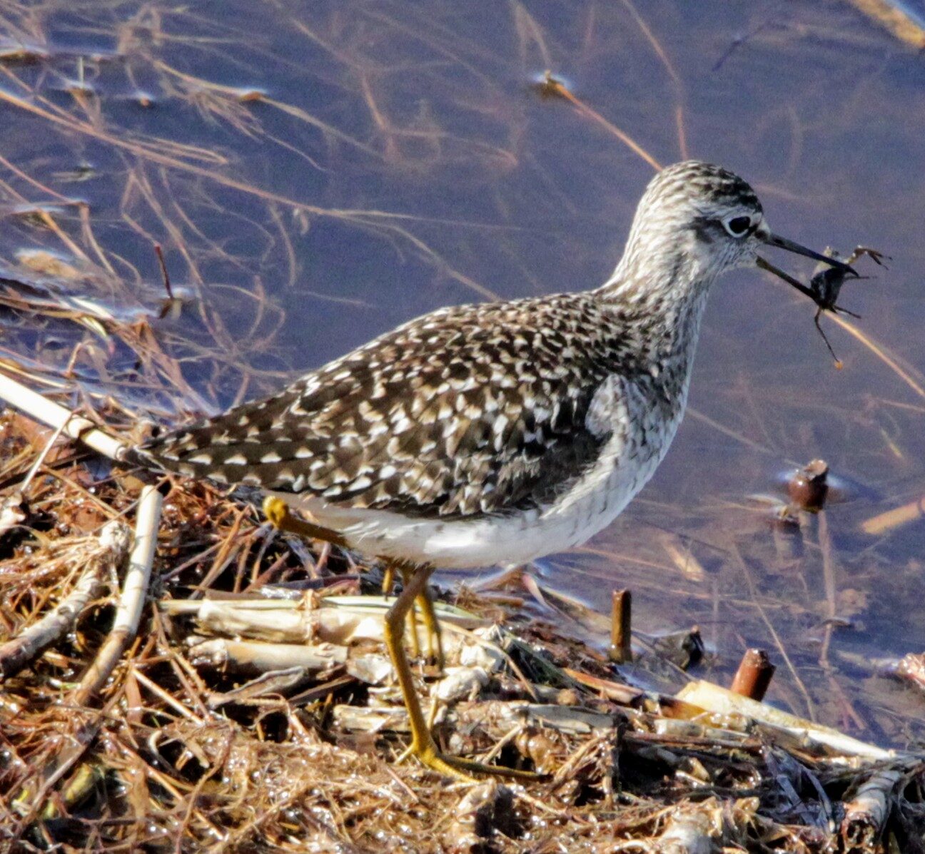 Valokuvaaja: Anu Lapinlampi