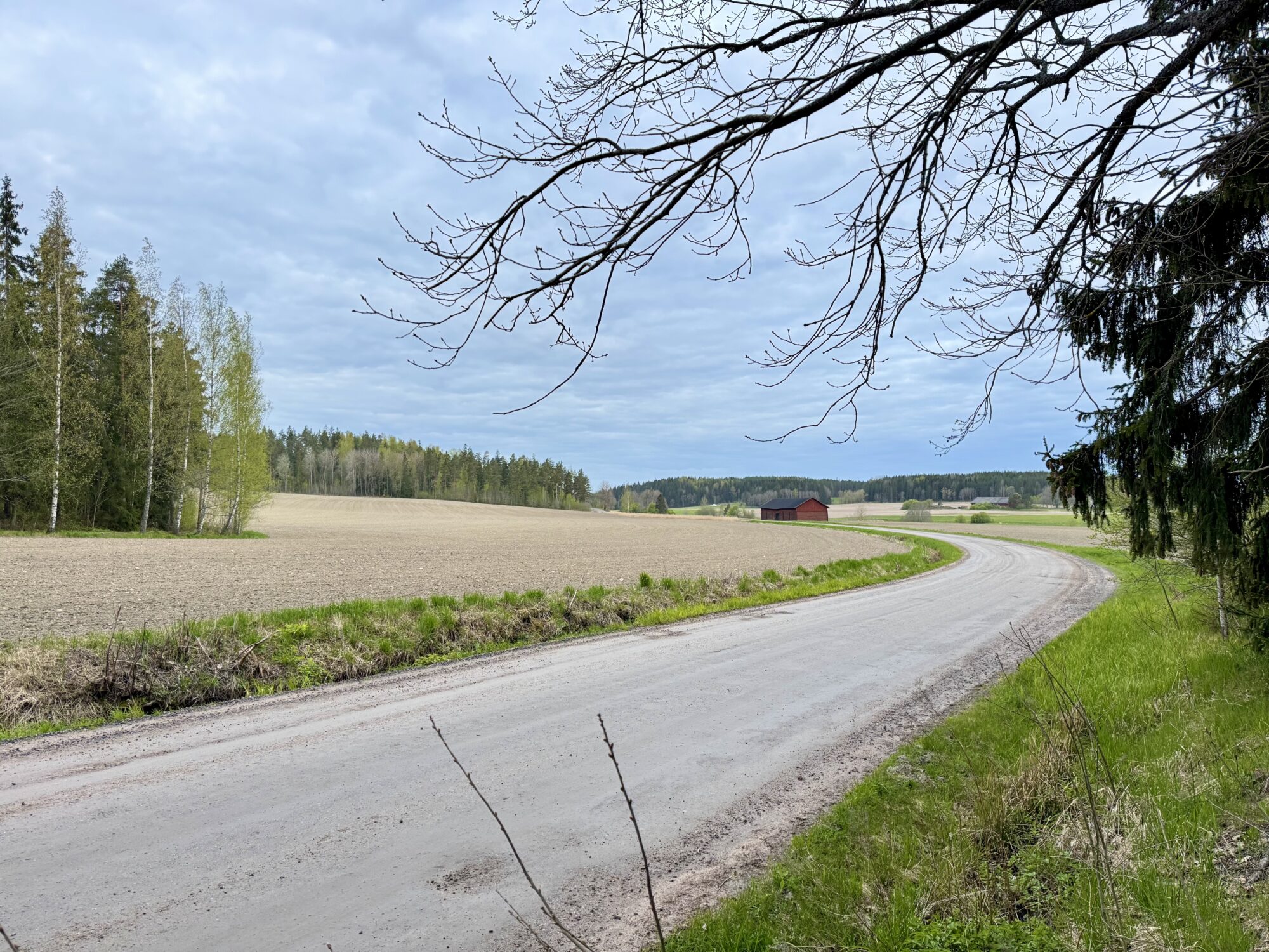 Valokuvaaja: Juhani Peltonen Valokuvaaja: Juhani Peltonen