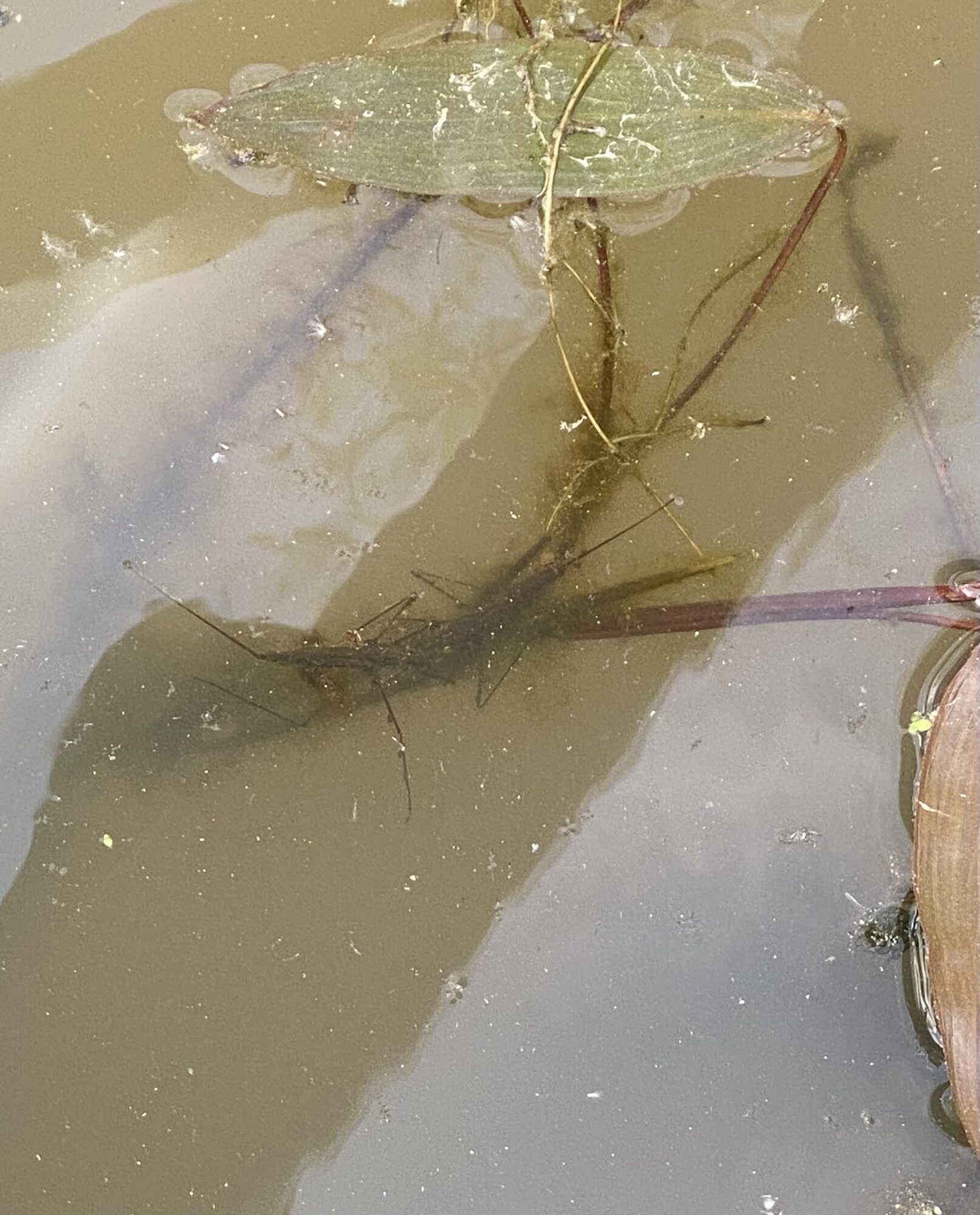 Valokuvaaja: Tiia Haak