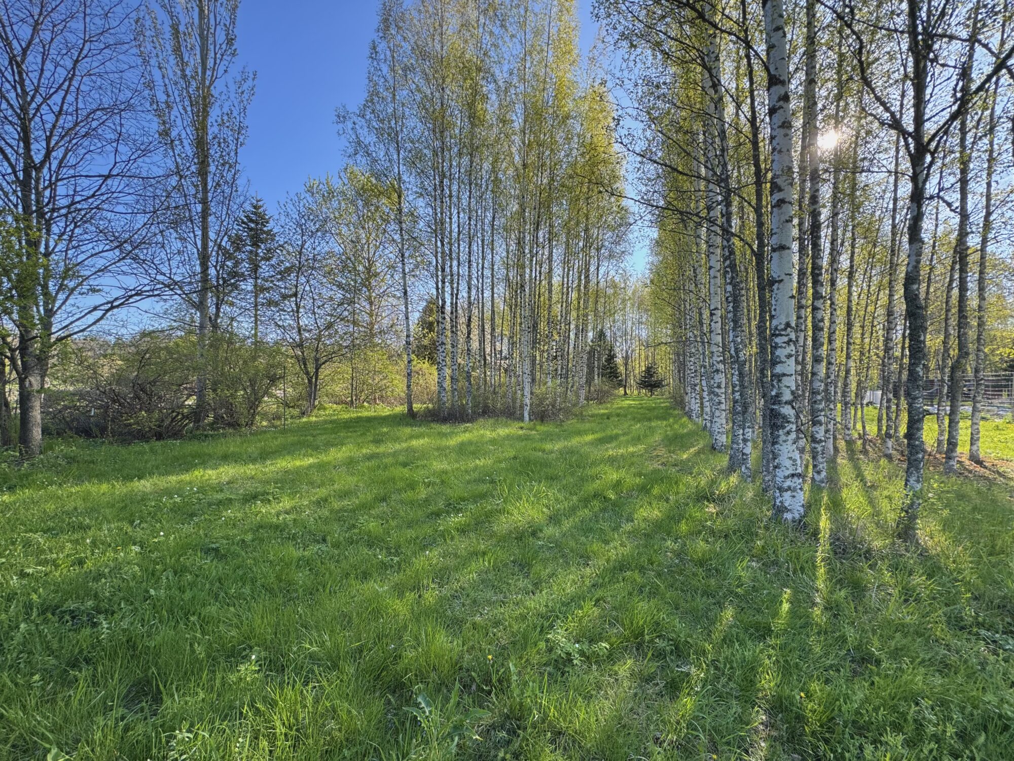 Valokuvaaja: Juhani Peltonen