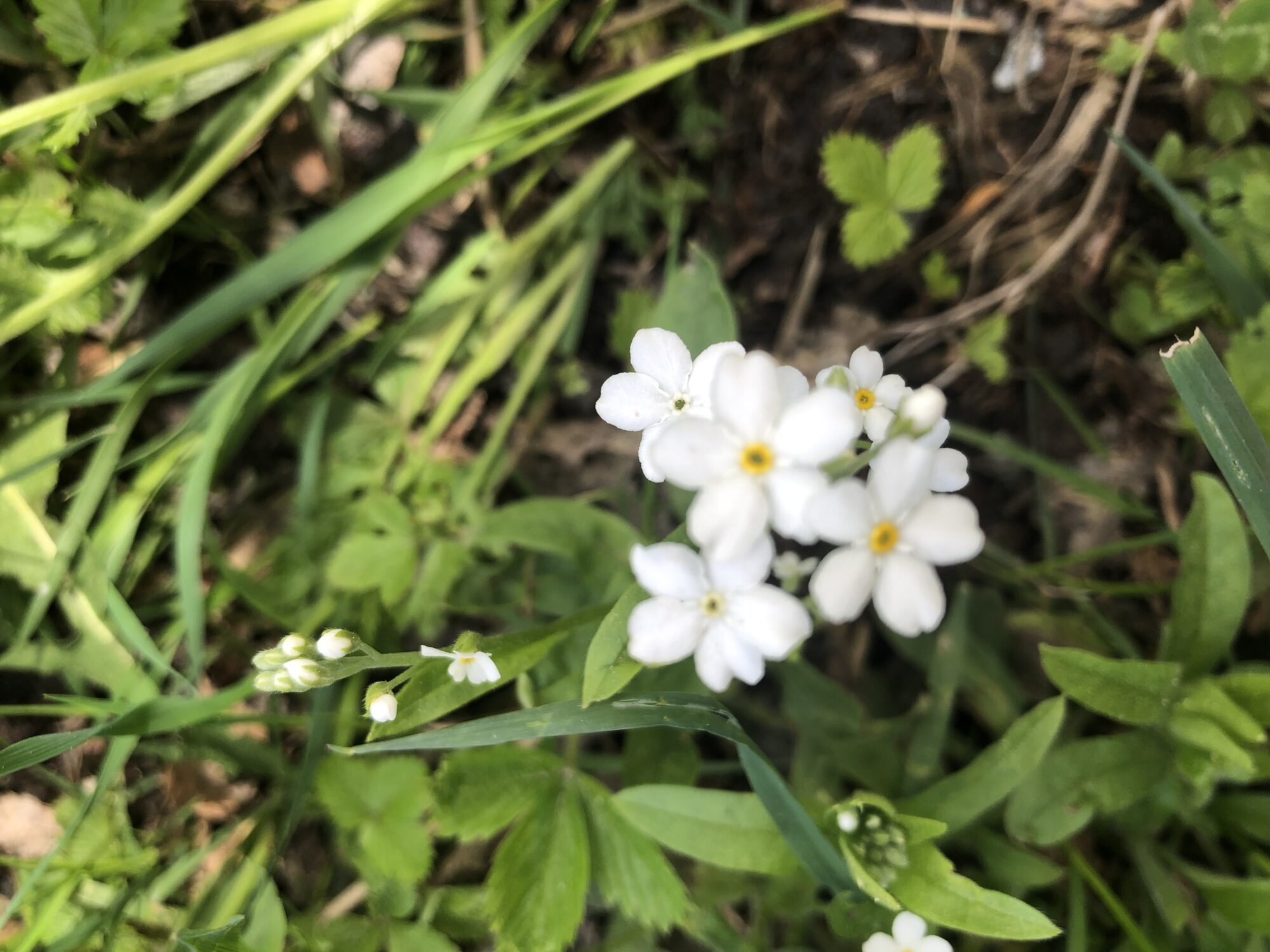 Valokuvaaja: Mirja Lehtinen