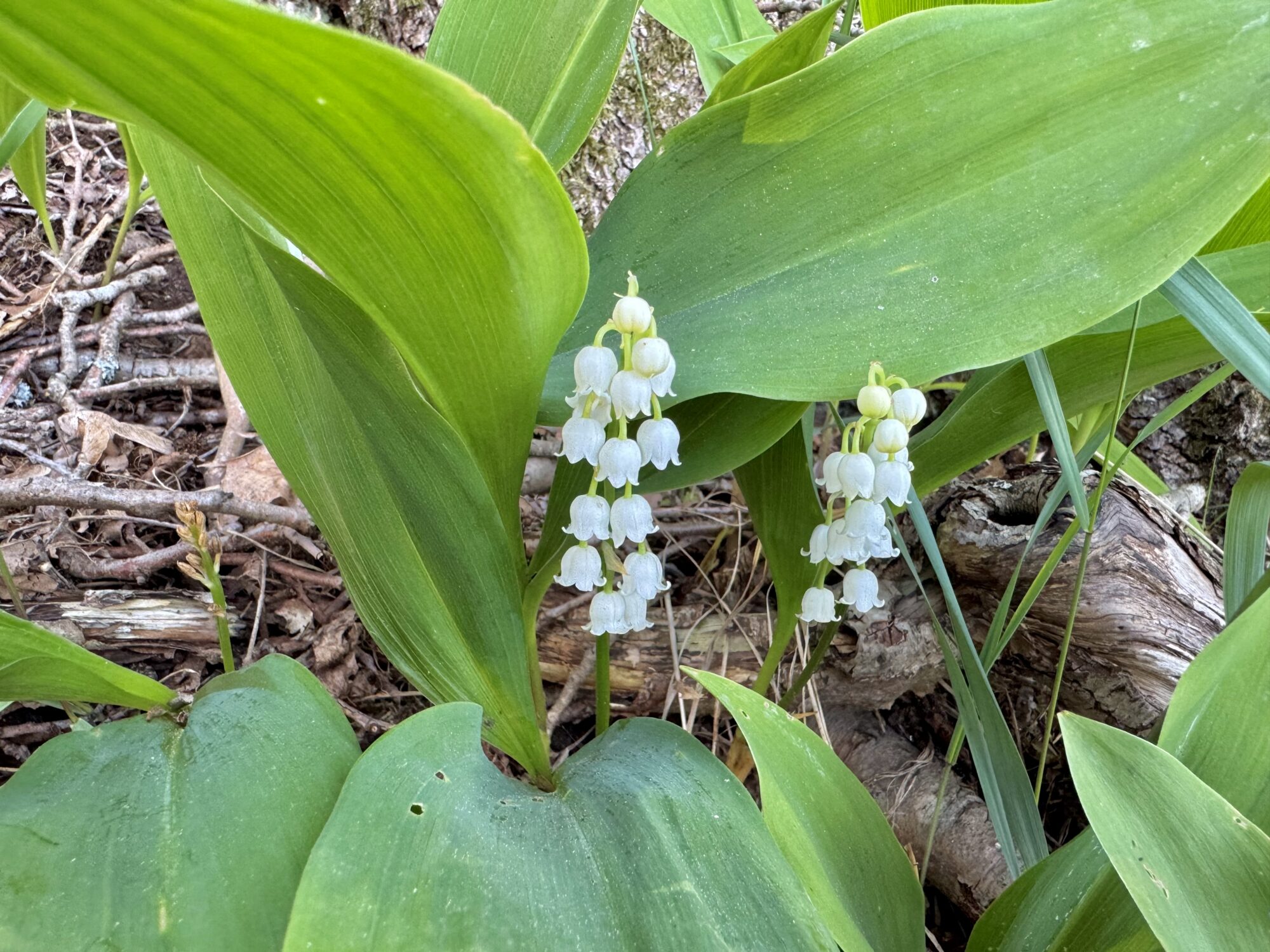 Valokuvaaja: Juhani Peltonen