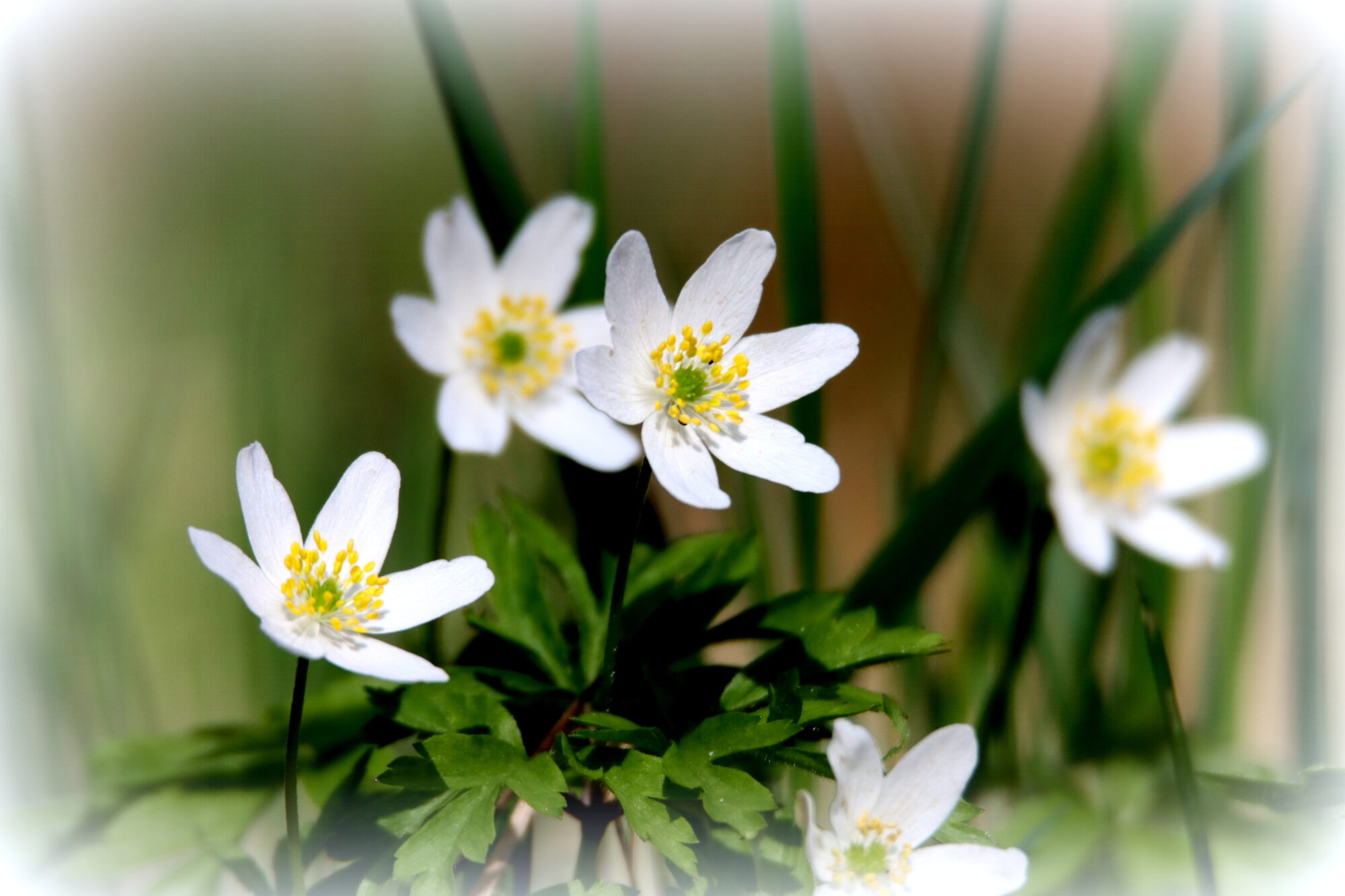 Valokuvaaja: Irja Lehtinen