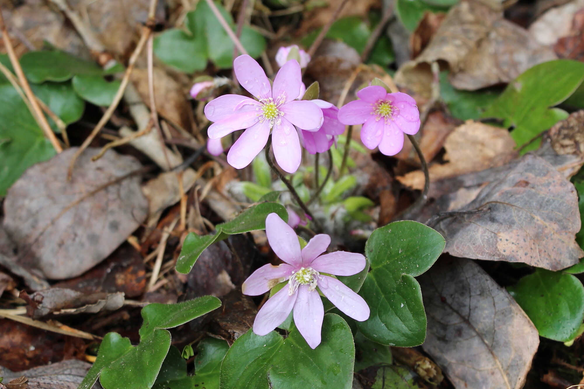 Valokuvaaja: Kirsi-Marja Joenpolvi Valokuvaaja: Kirsi-Marja Joenpolvi