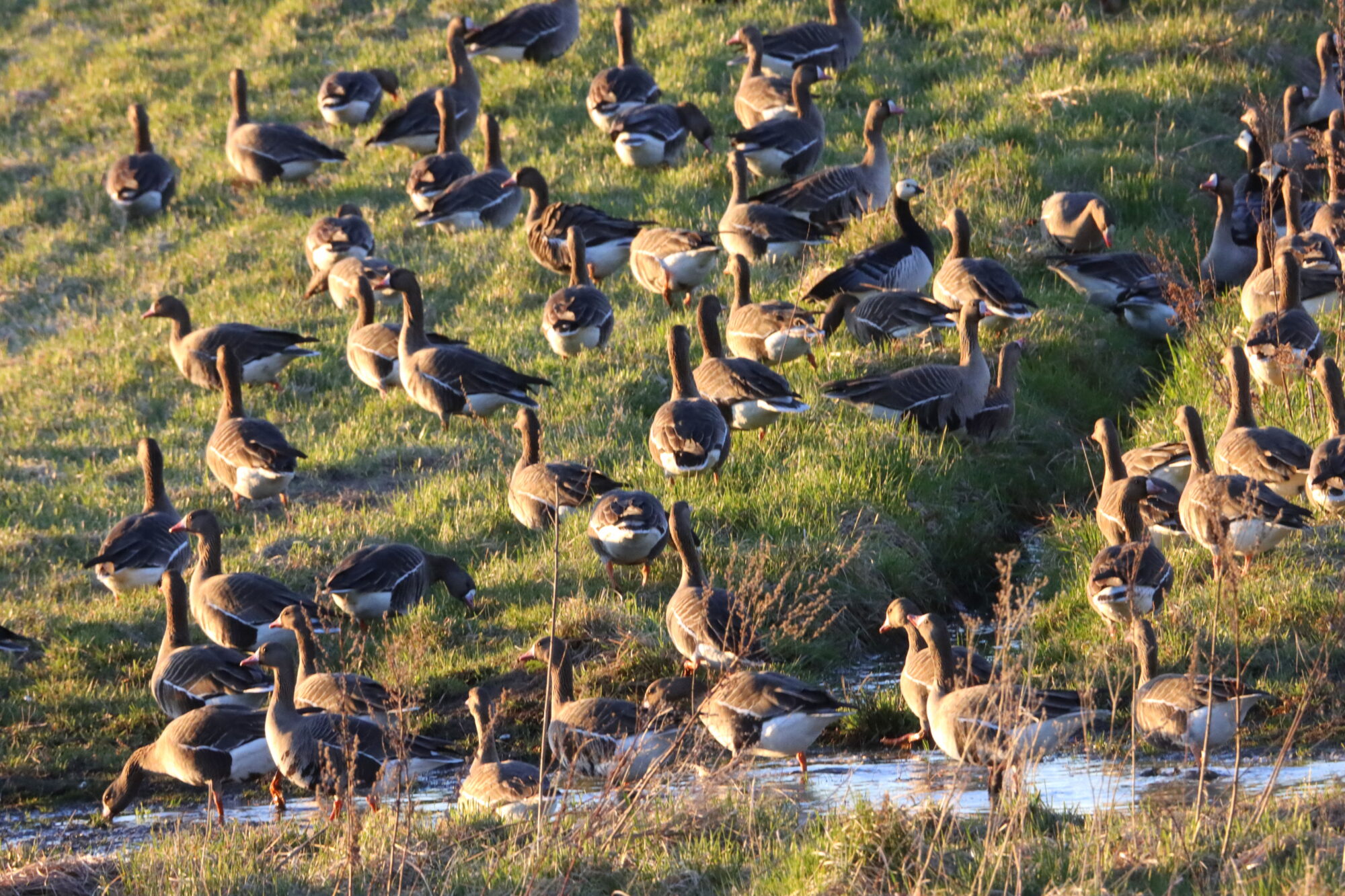 Valokuvaaja: Irja Lehtinen