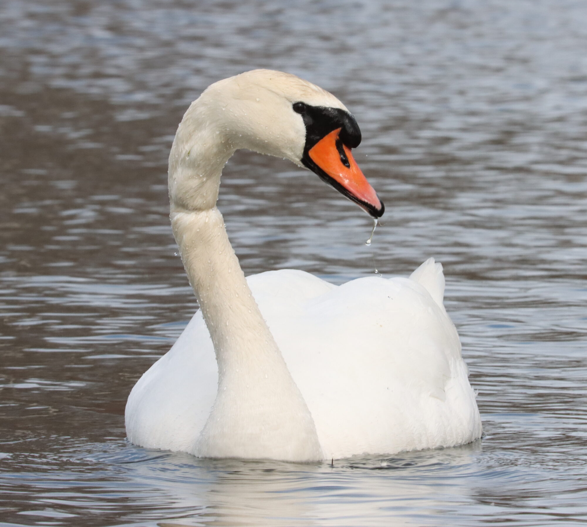 Valokuvaaja: Irja Lehtinen