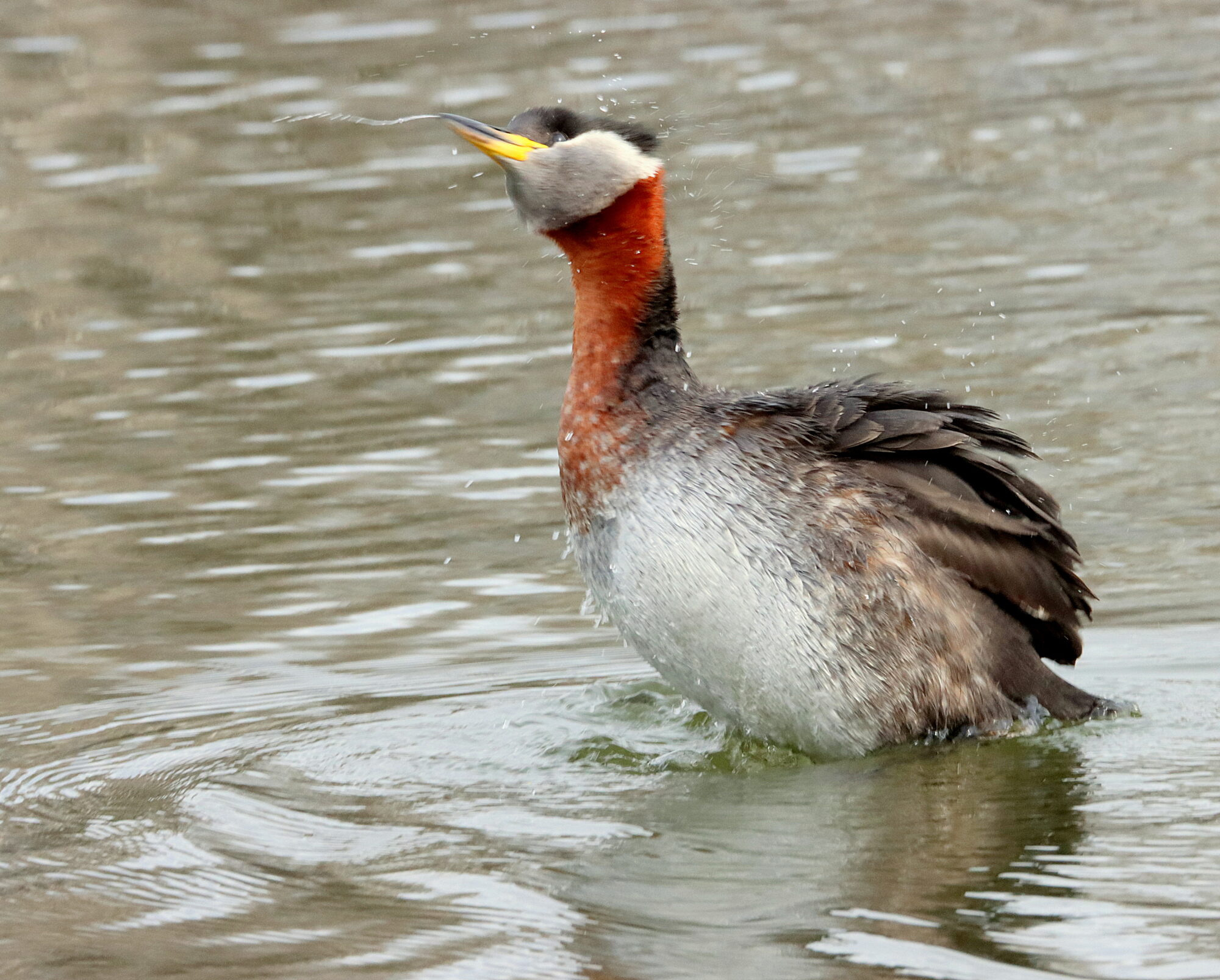 Valokuvaaja: Irja Lehtinen