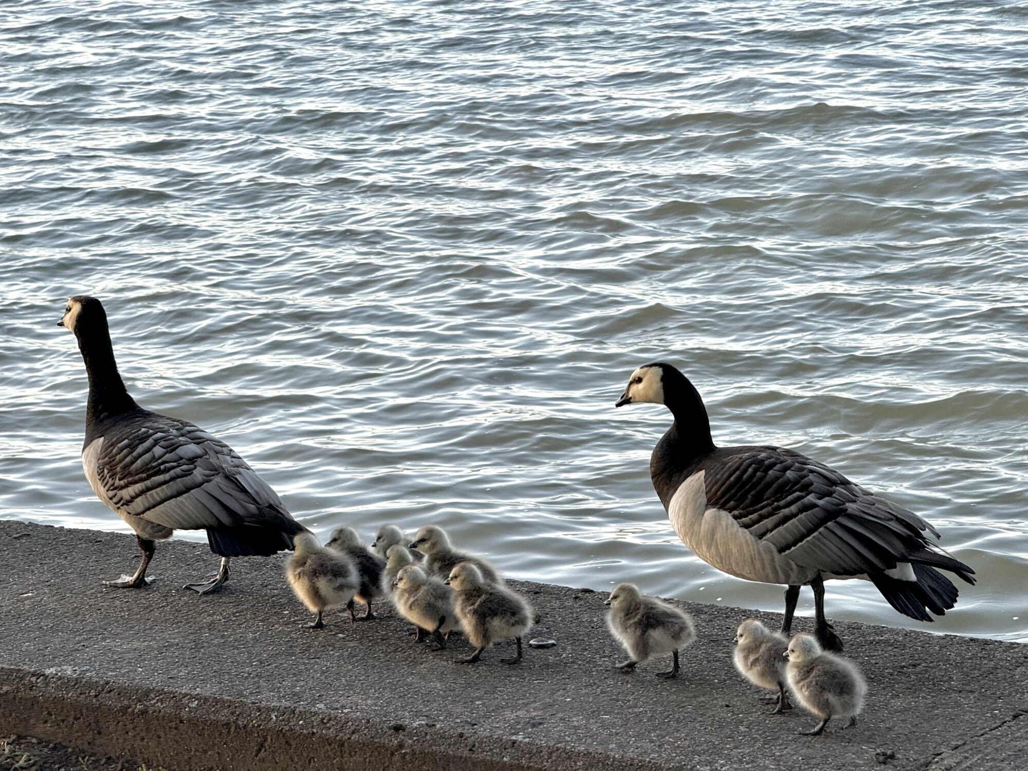 Valokuvaaja: Juhani Peltonen