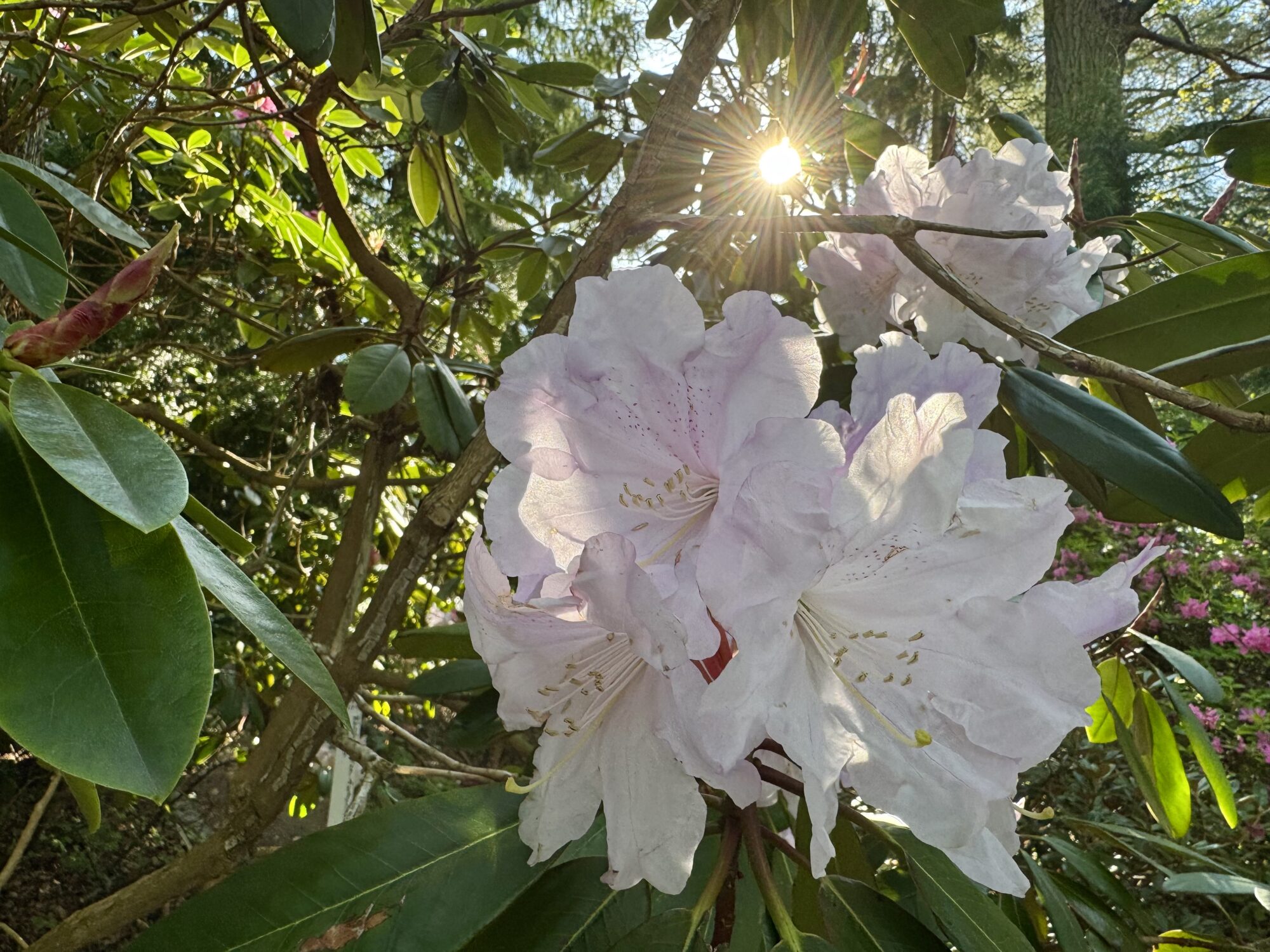 Valokuvaaja: Juhani Peltonen