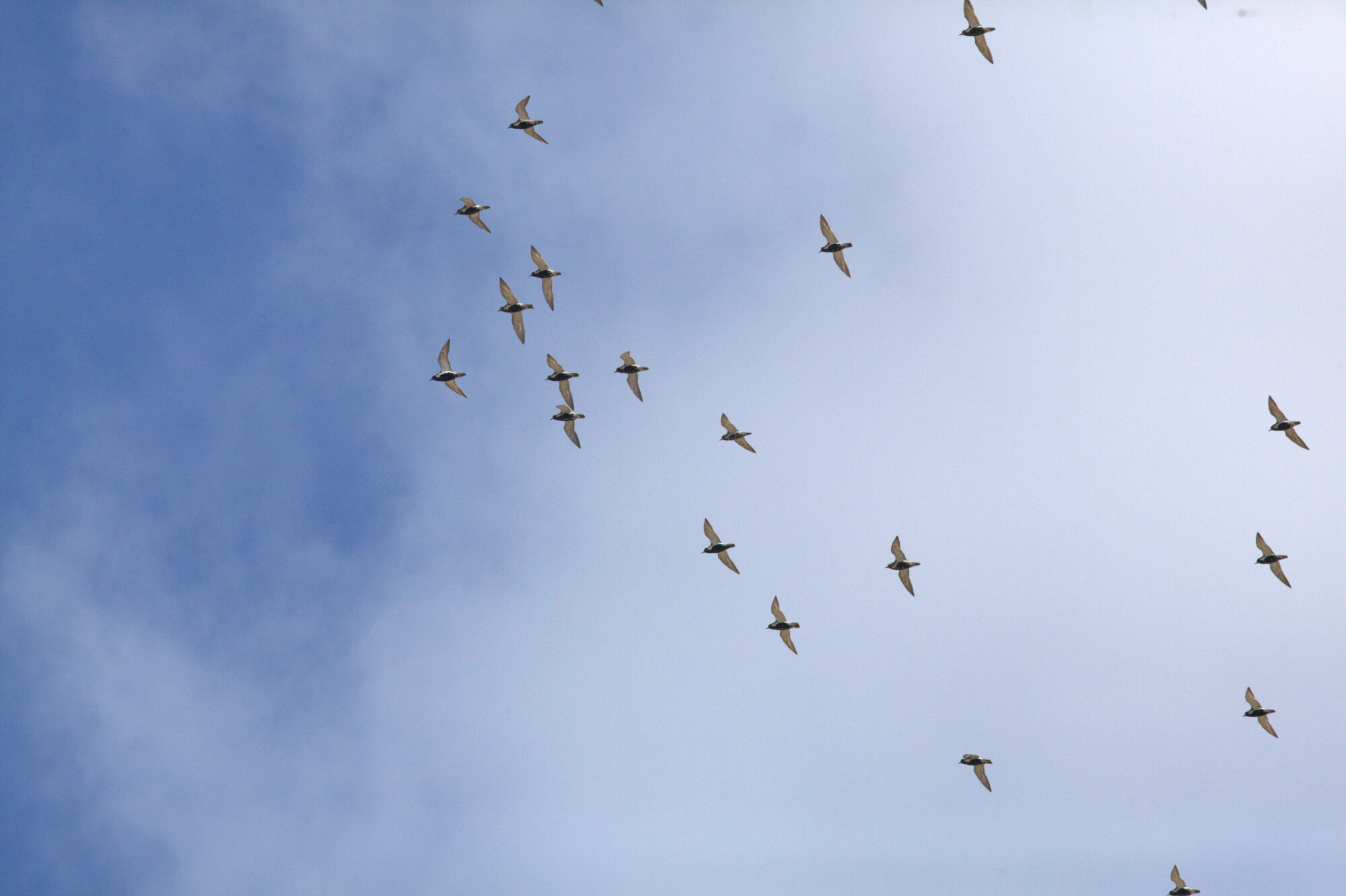 Valokuvaaja: tapio keinonen