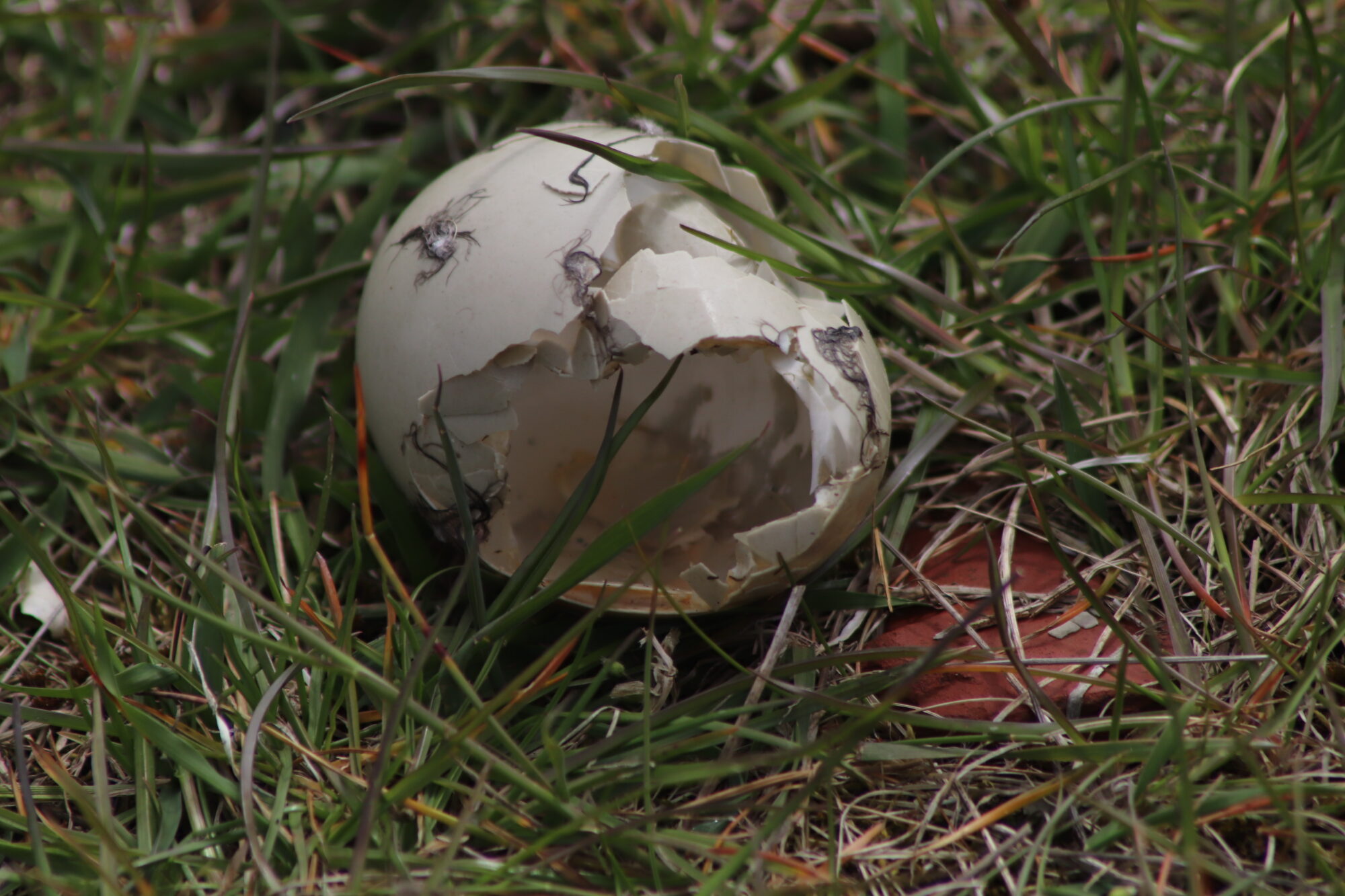 Valokuvaaja: Kati Kärki