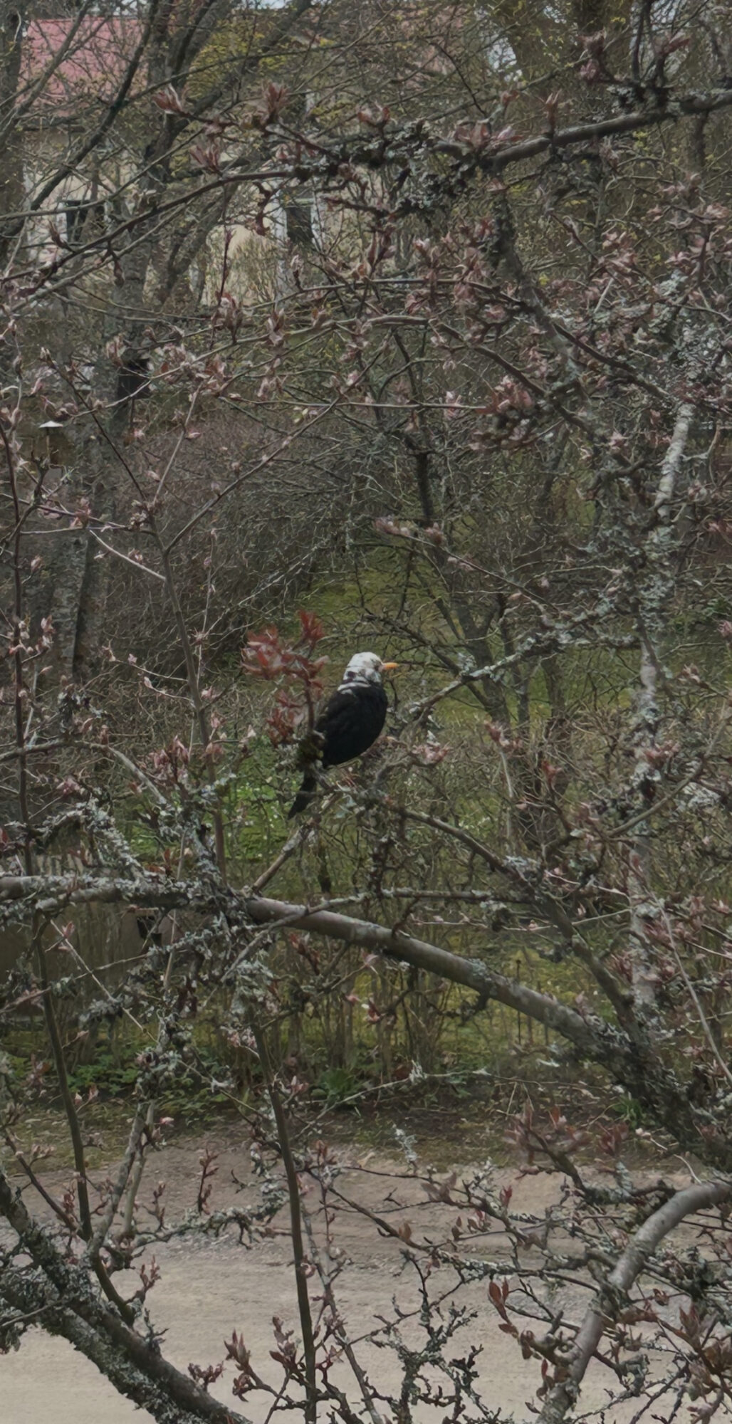 Valokuvaaja: Anne Alkio