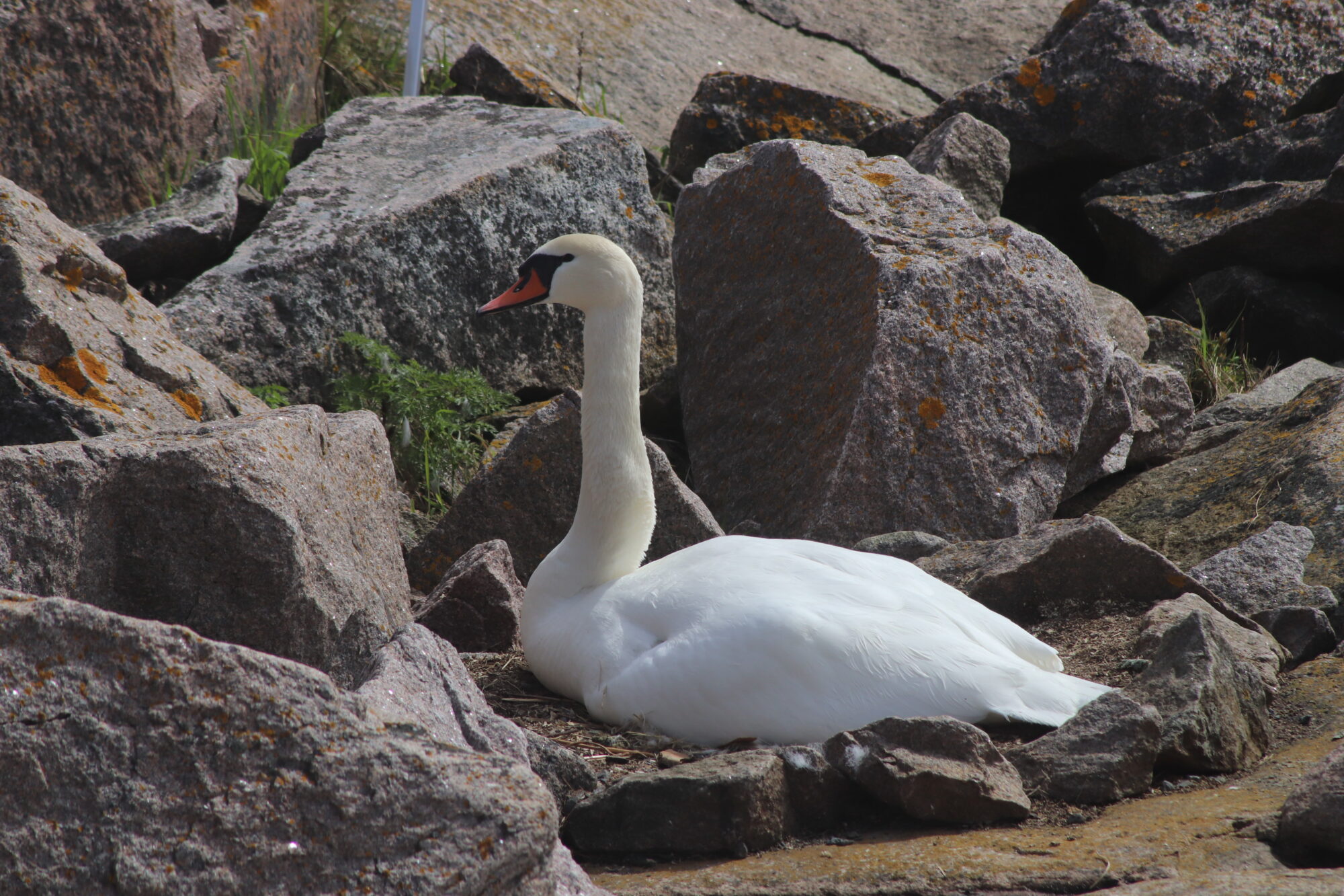 Valokuvaaja: Kati Kärki