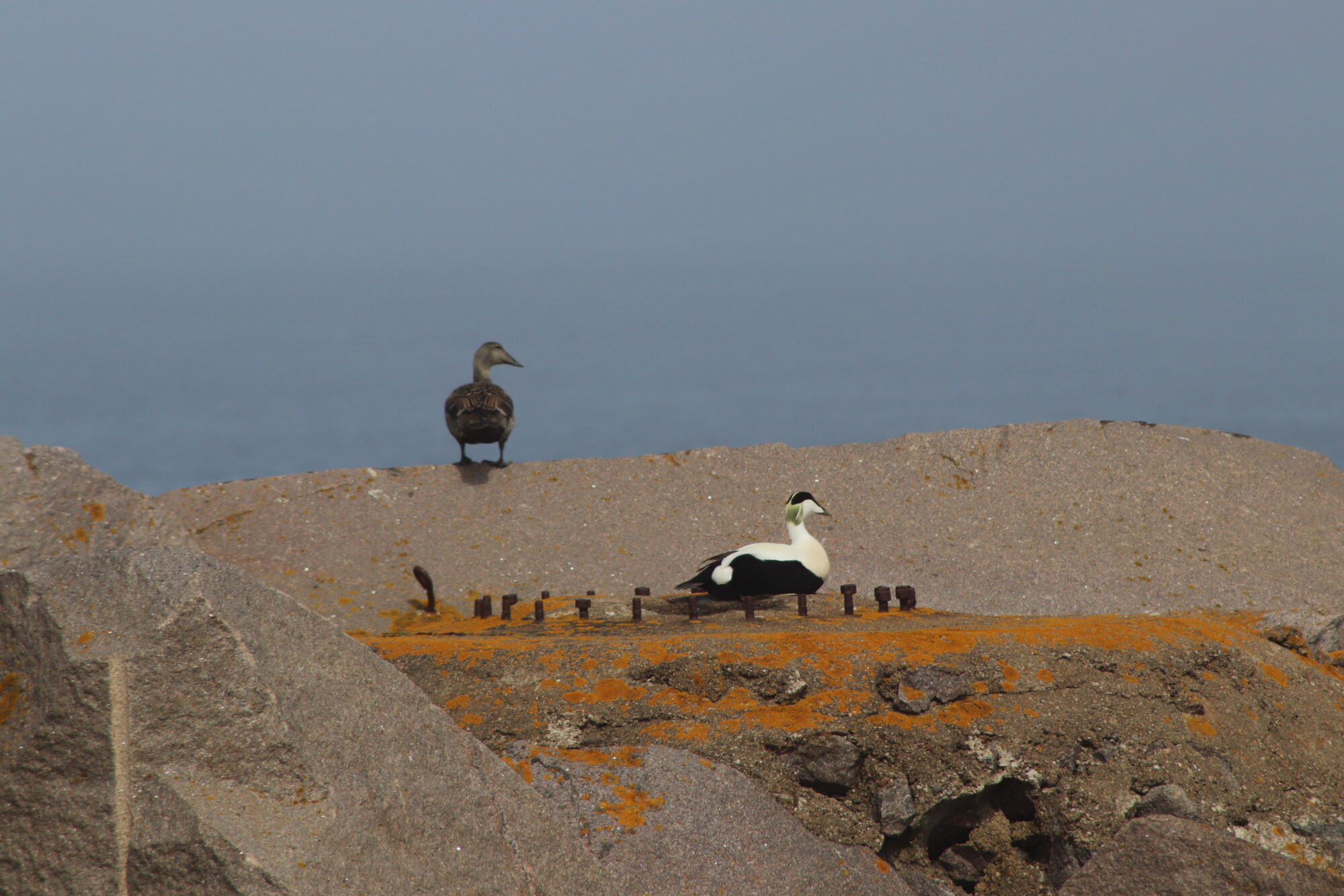 Valokuvaaja: Kati Kärki