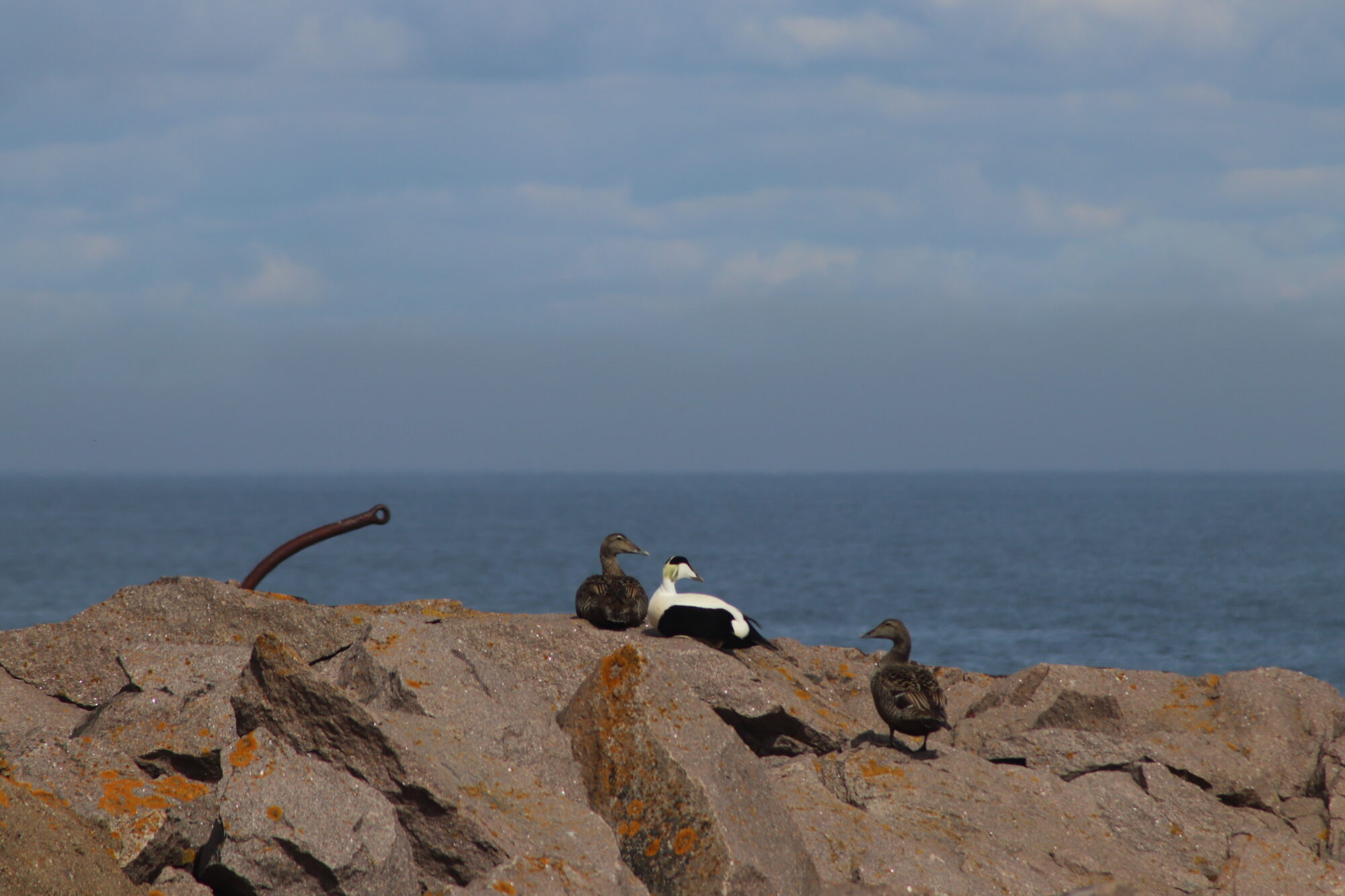 Valokuvaaja: Kati Kärki