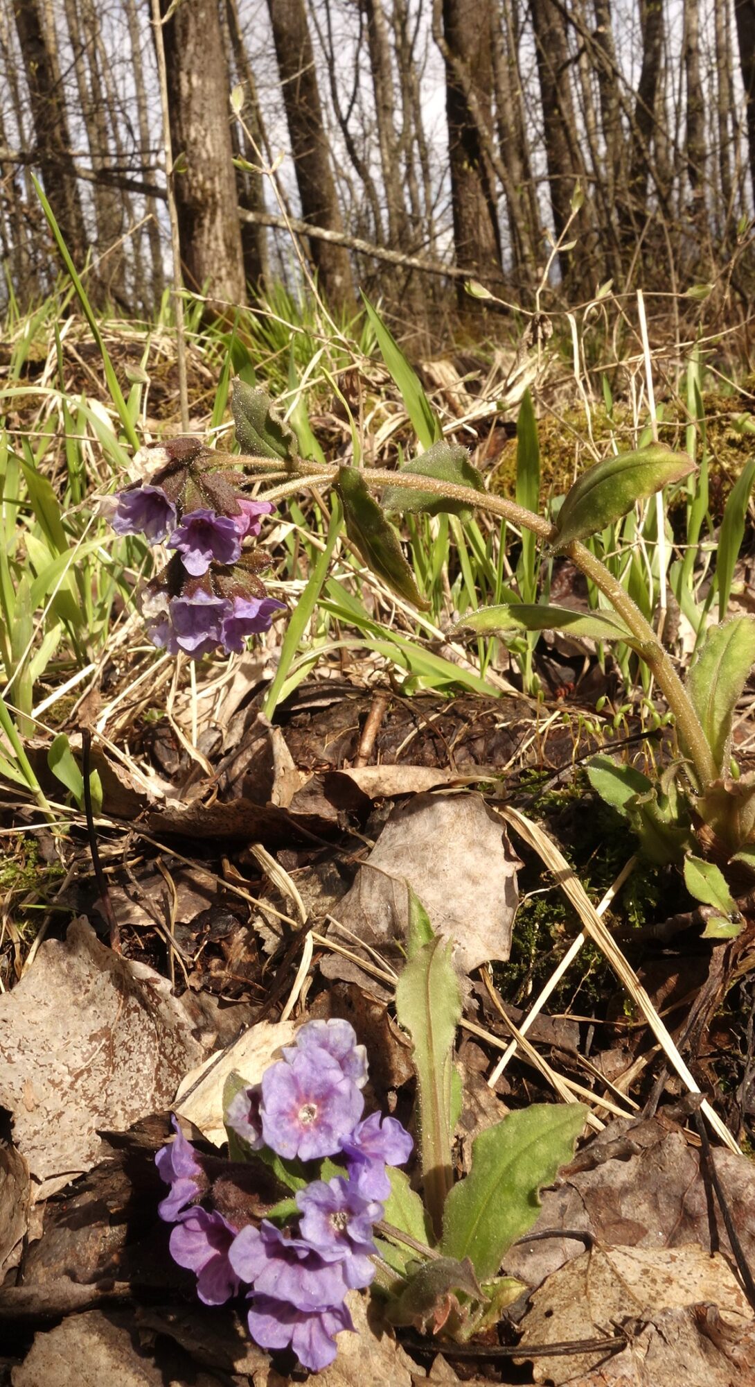 Valokuvaaja: Kaarina Heiskanen