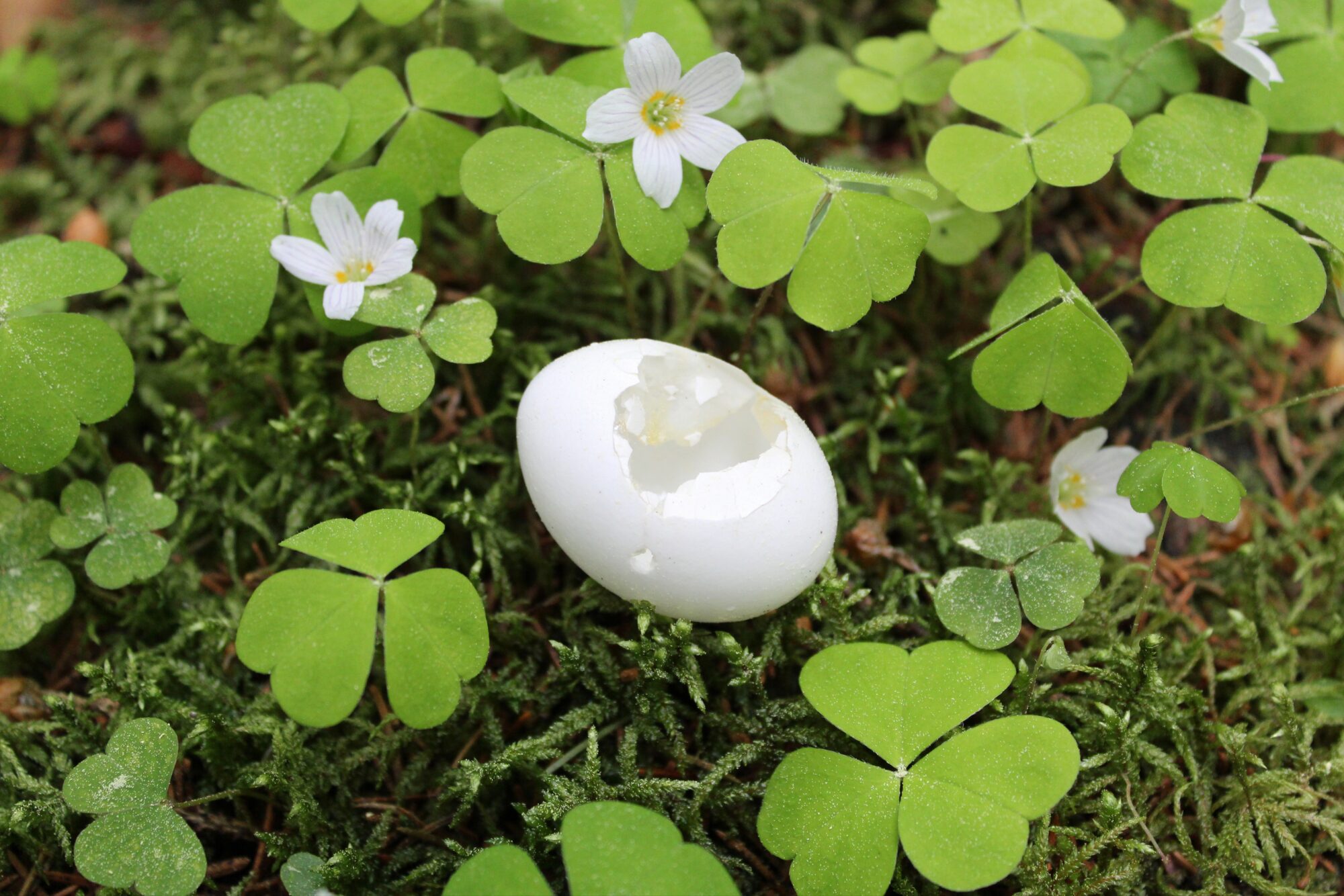 Valokuvaaja: Paula Savelius-Kontinen