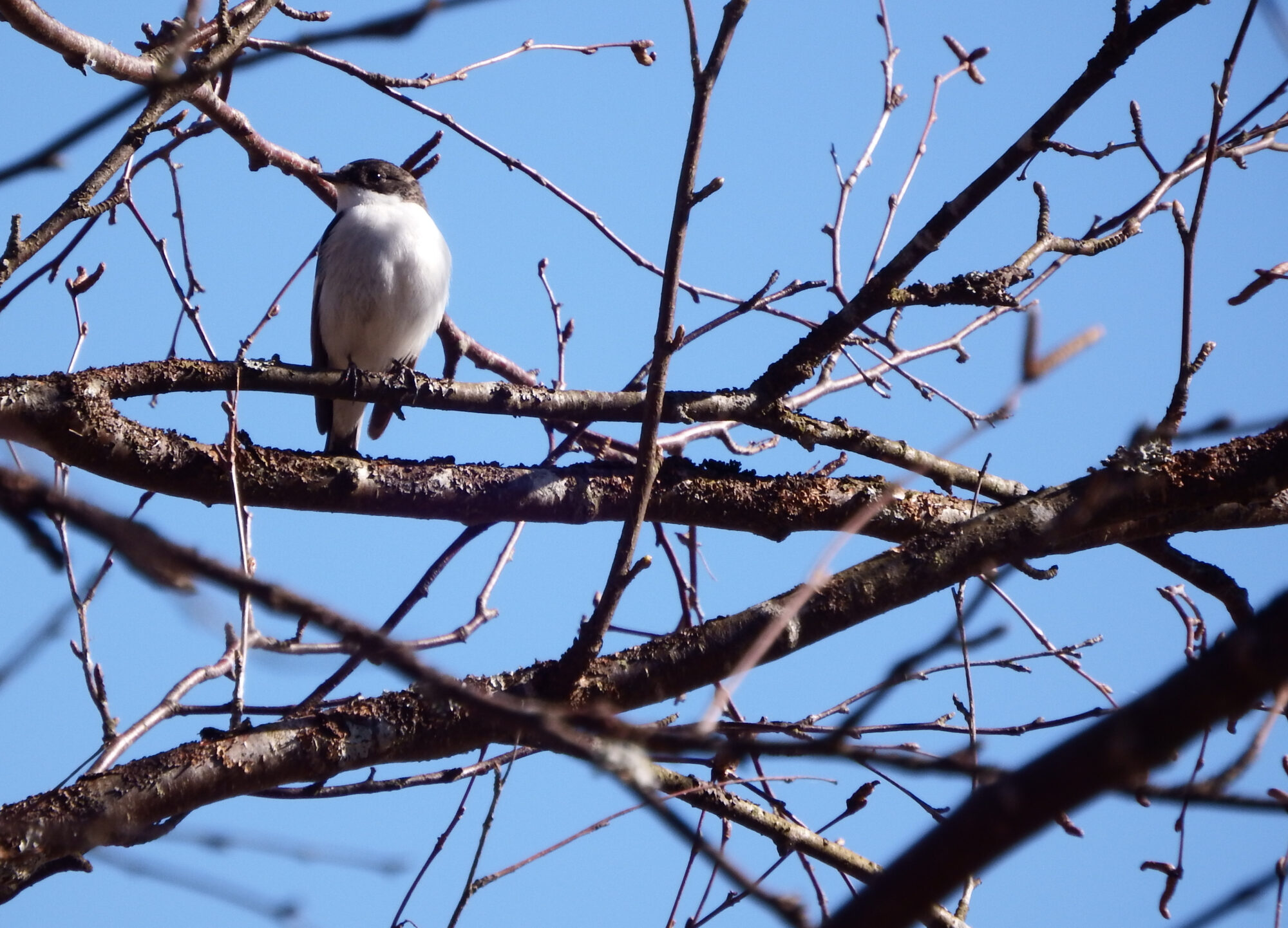 Valokuvaaja: Toni Asikainen Valokuvaaja: Toni Asikainen