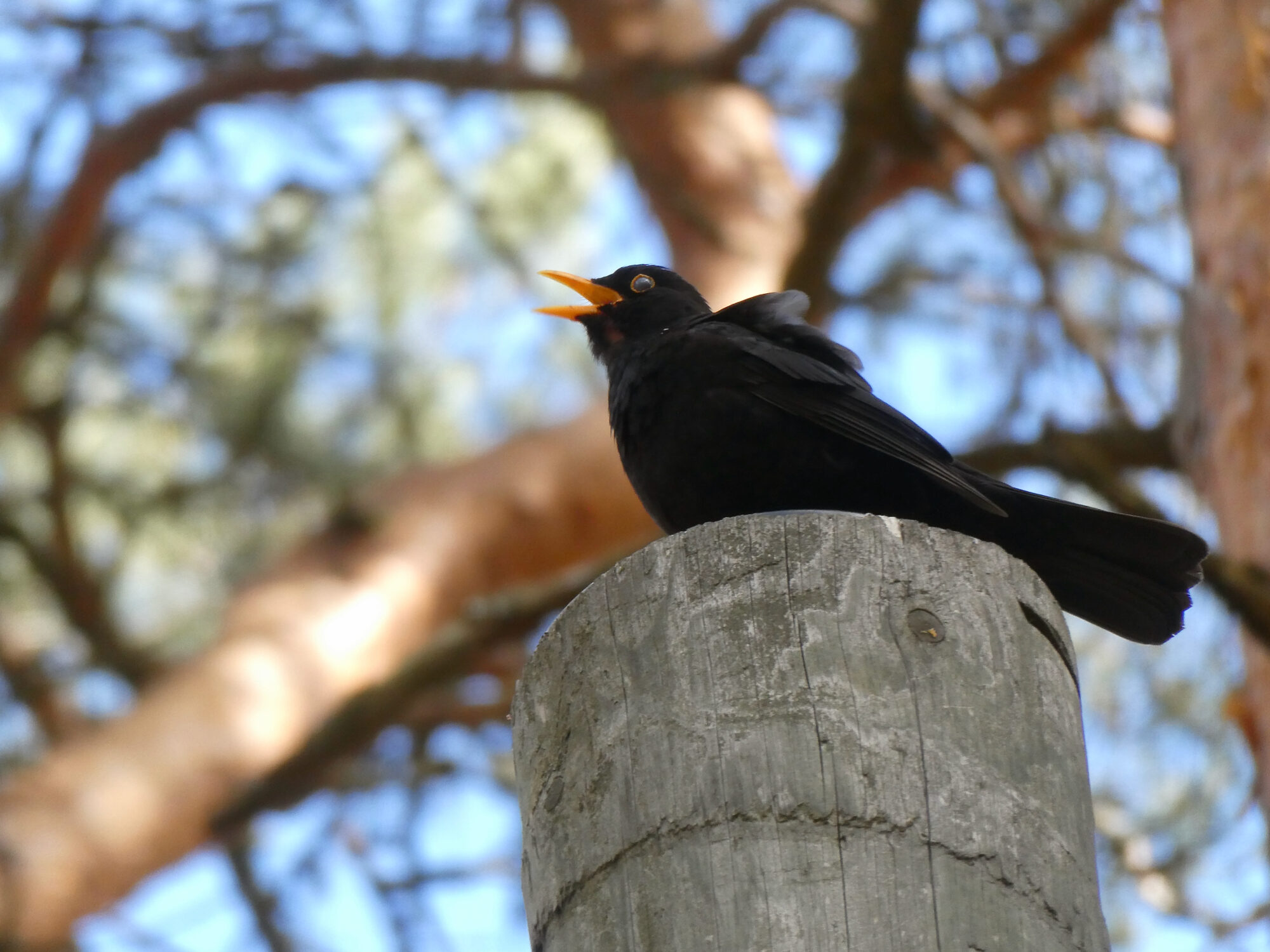 Valokuvaaja: Liisa Niiva-Korpela Valokuvaaja: Liisa Niiva-Korpela