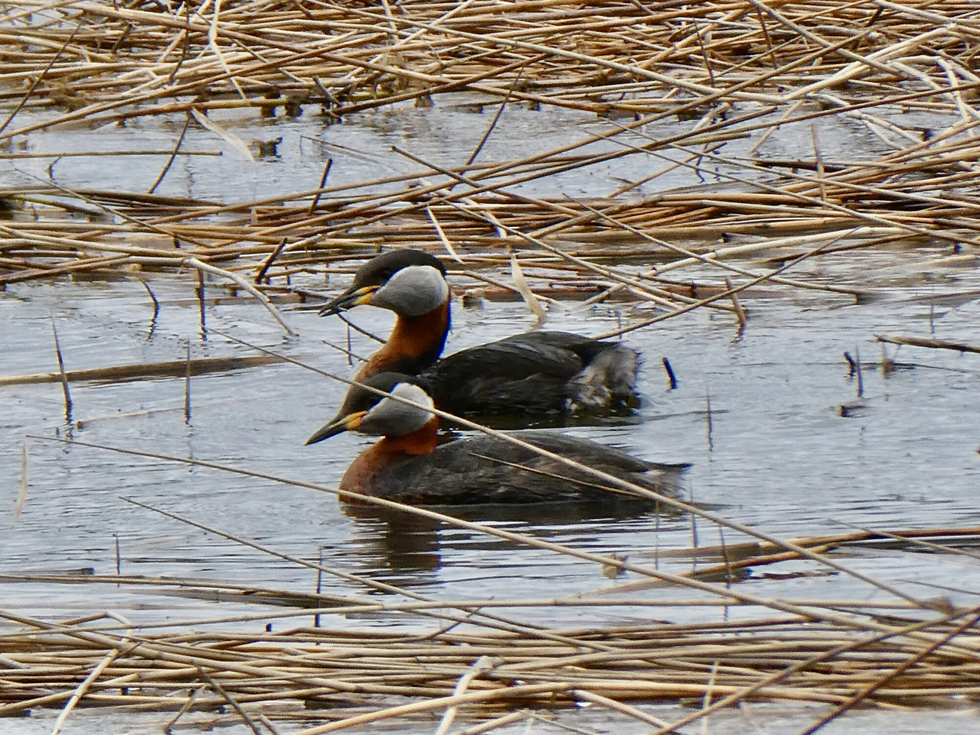 Valokuvaaja: Liisa Niiva-Korpela Valokuvaaja: Liisa Niiva-Korpela
