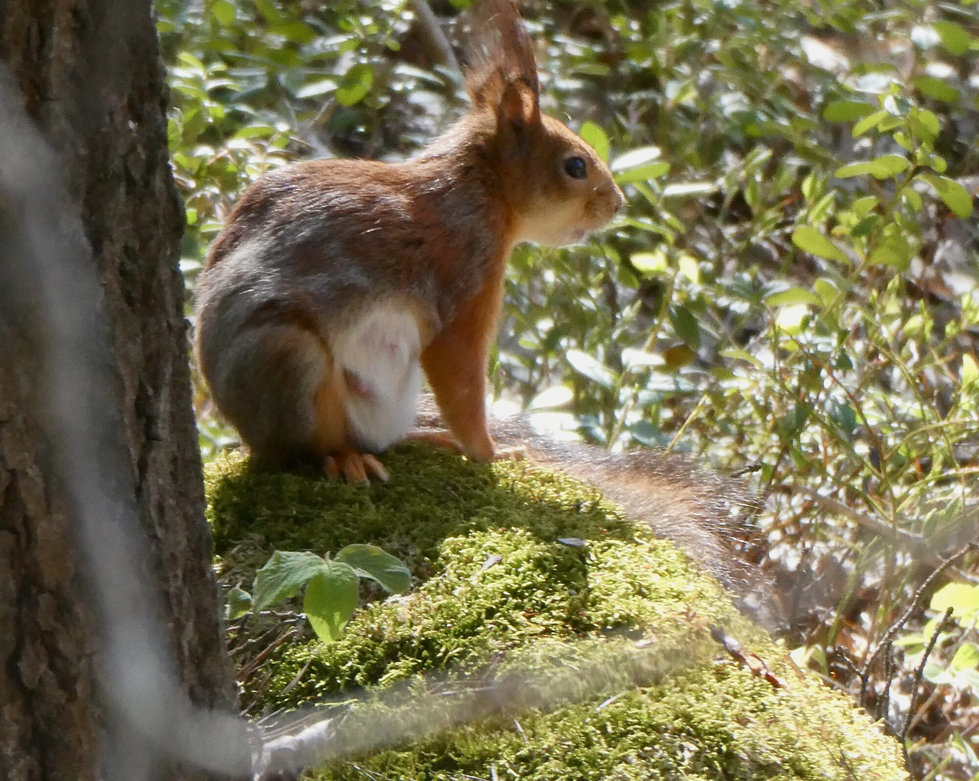Valokuvaaja: Liisa Niiva-Korpela