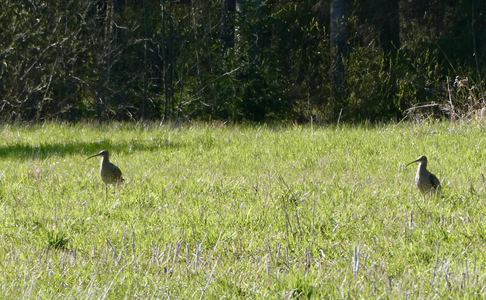 Valokuvaaja: Liisa Niiva-Korpela Valokuvaaja: Liisa Niiva-Korpela