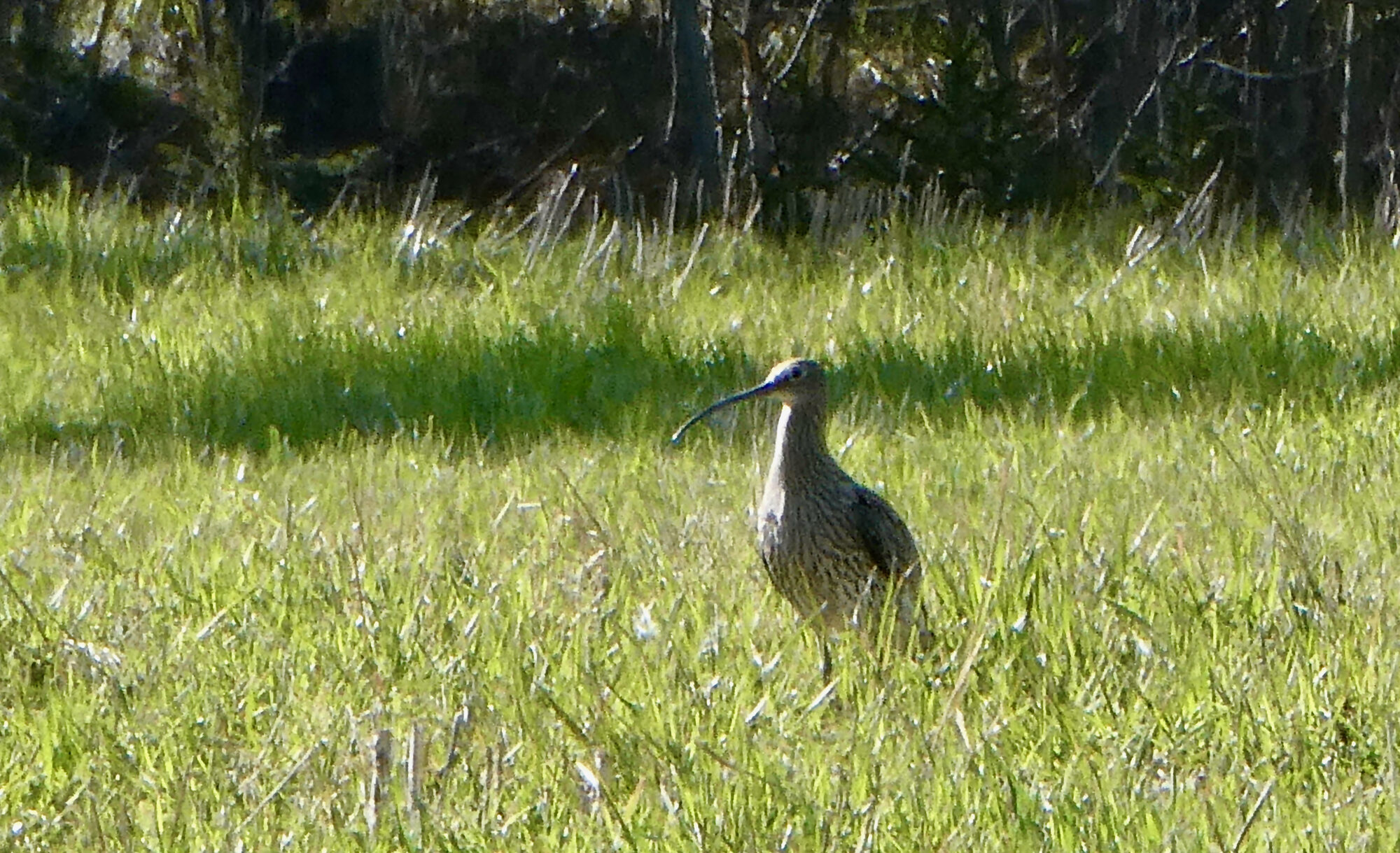 Valokuvaaja: Liisa Niiva-Korpela Valokuvaaja: Liisa Niiva-Korpela