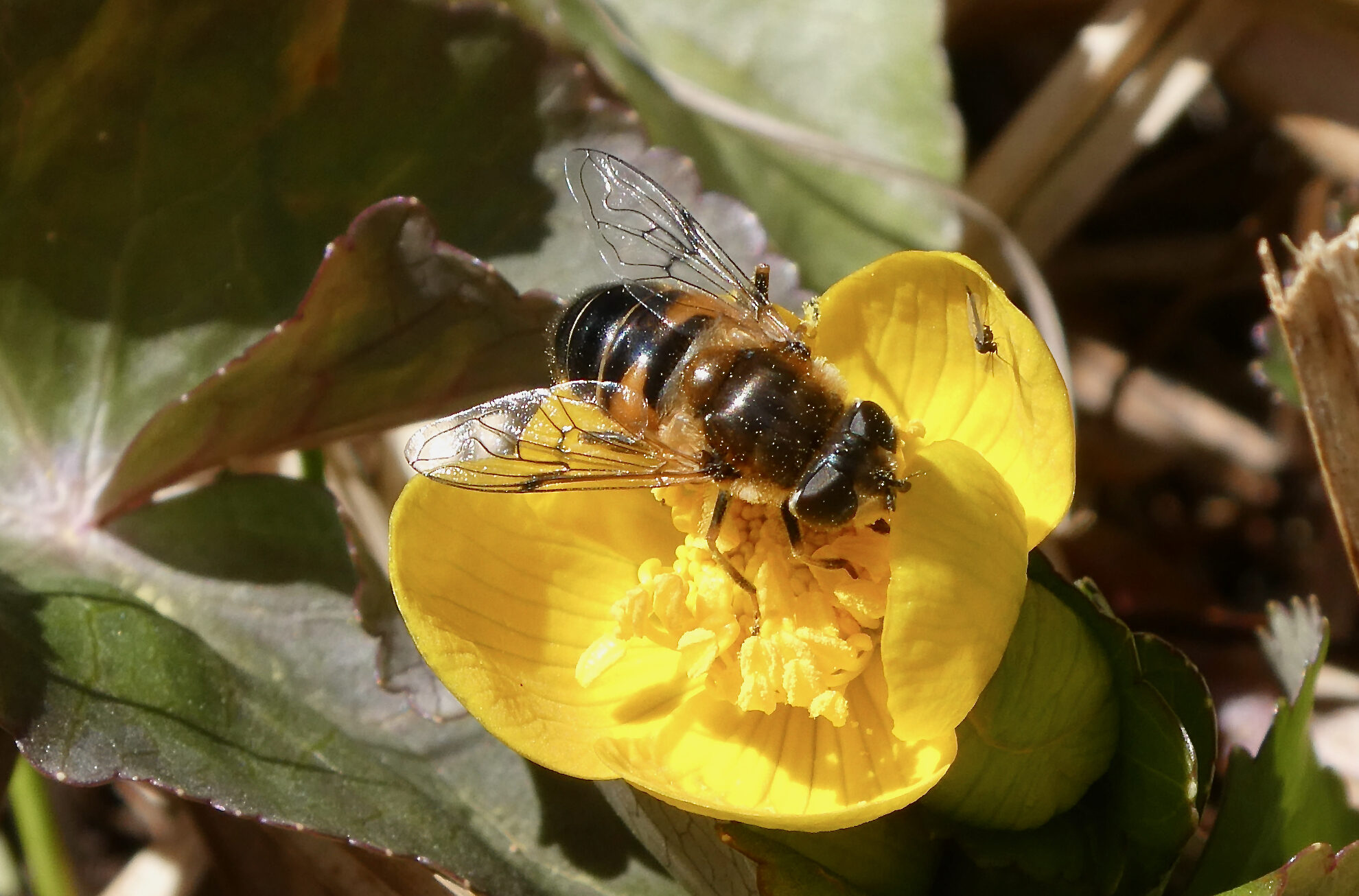 Valokuvaaja: Liisa Niiva-Korpela