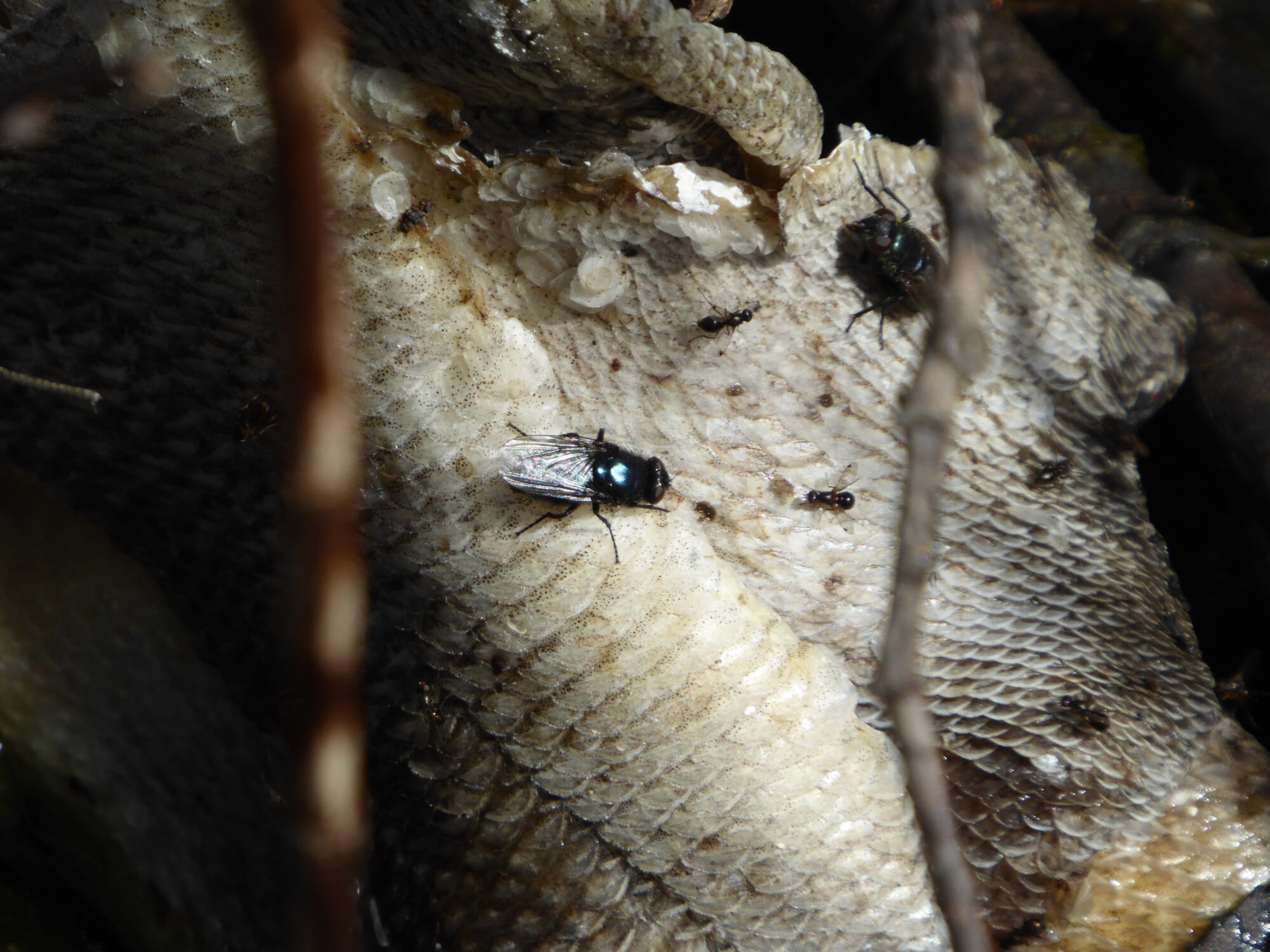 Valokuvaaja: Toni Asikainen