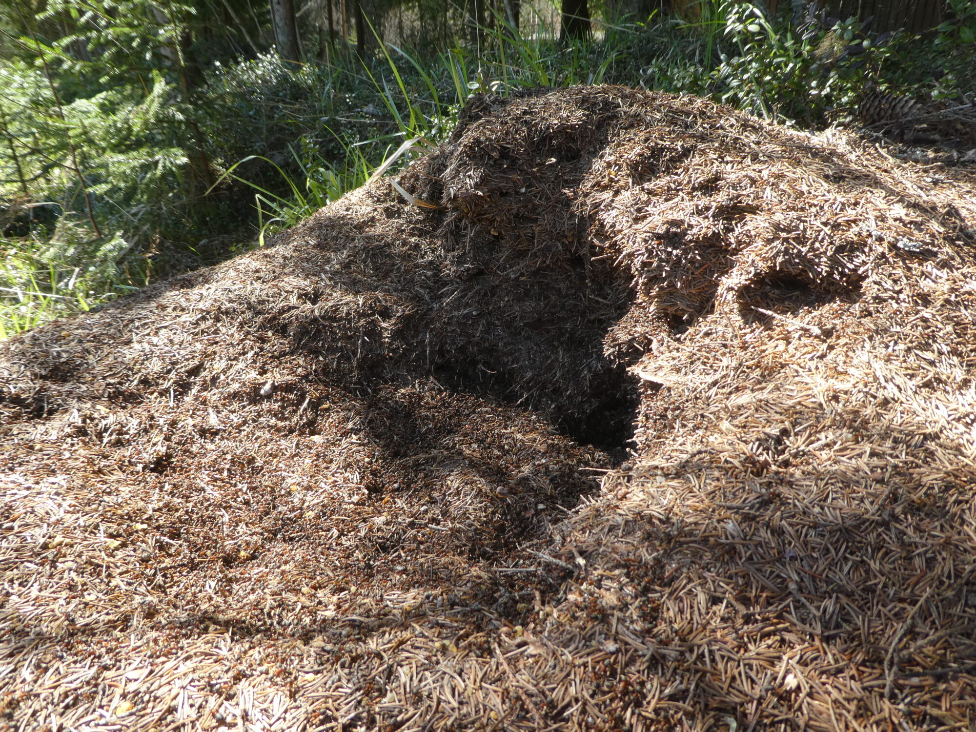 Valokuvaaja: Anja Mustamaa Valokuvaaja: Anja Mustamaa