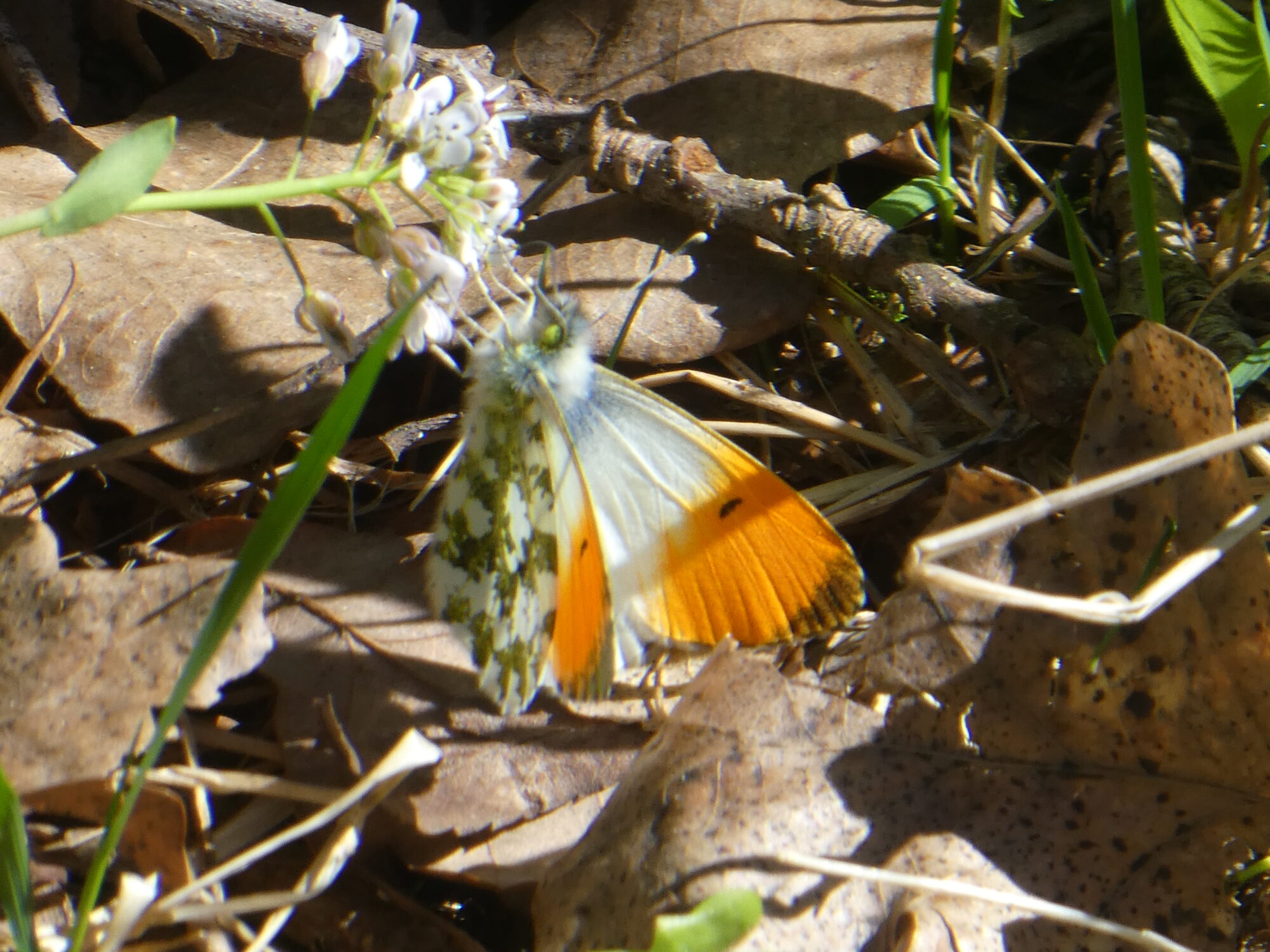 Valokuvaaja: Anja Mustamaa