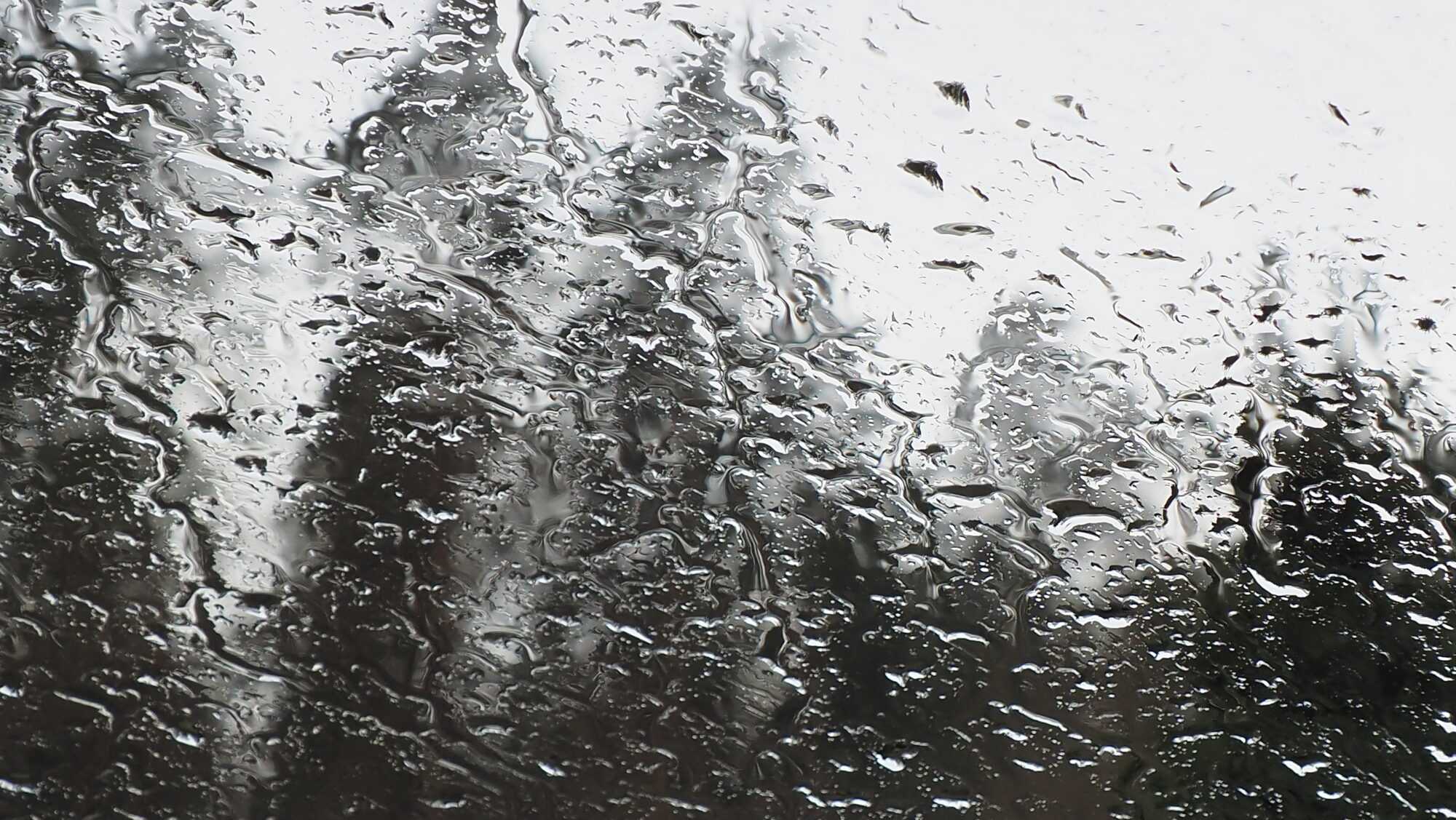 Valokuvaaja: Arja Valtonen