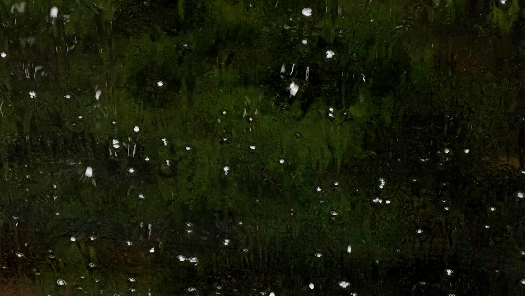 Valokuvaaja: Arja Valtonen