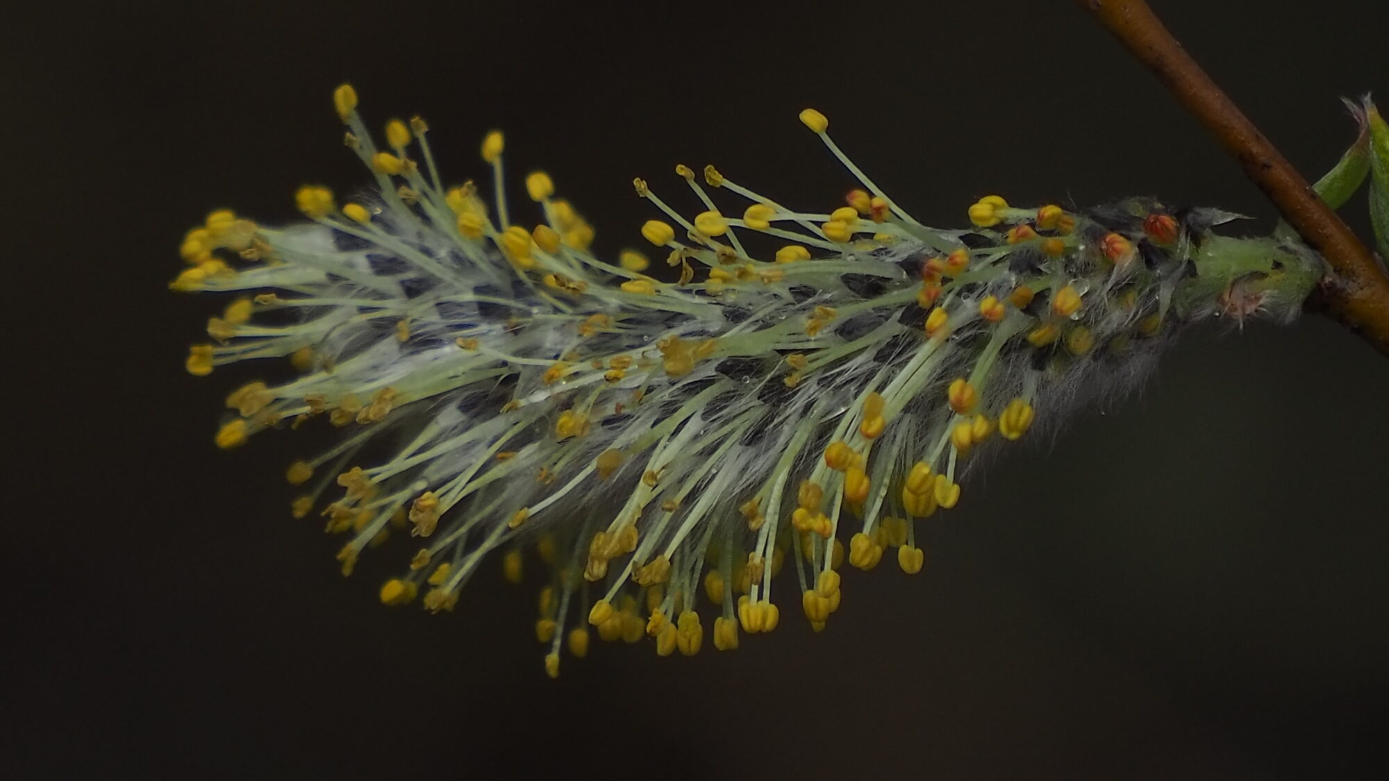 Valokuvaaja: Martti Valtonen