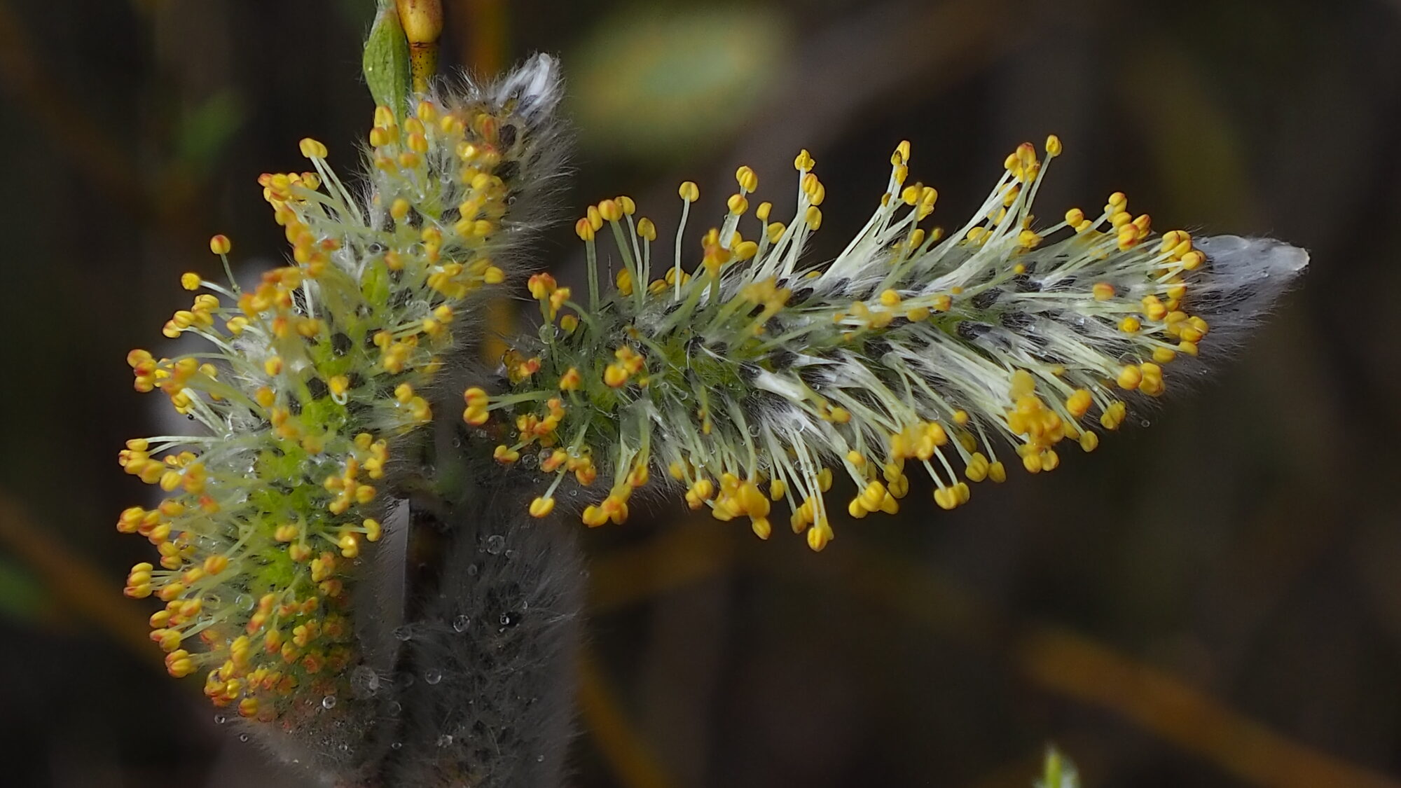 Valokuvaaja: Martti Valtonen