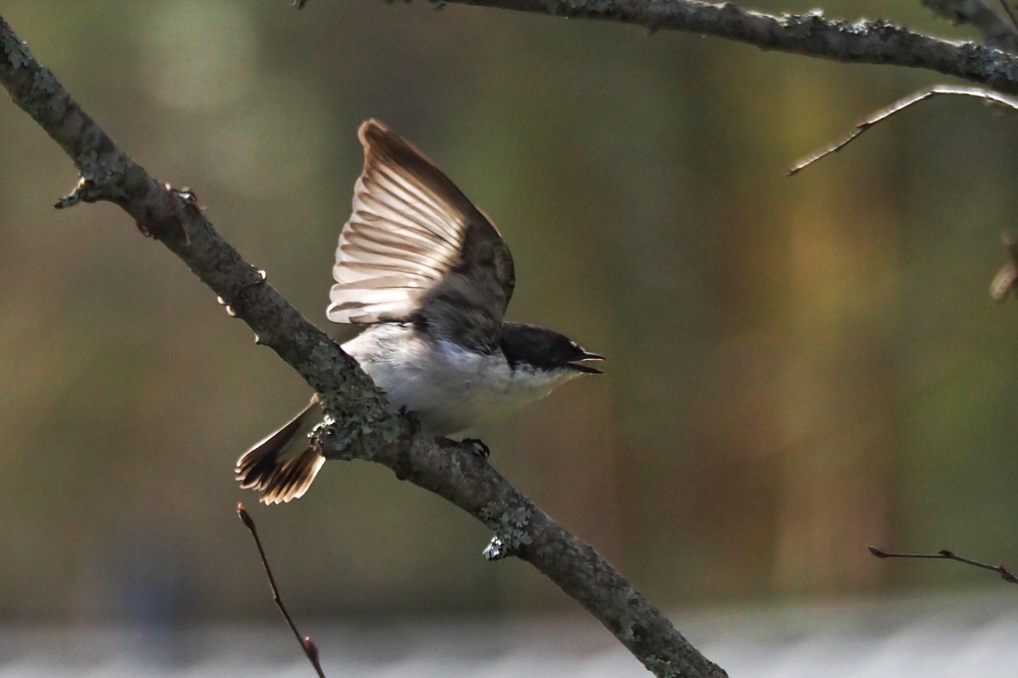 Valokuvaaja: Aki Jalava Valokuvaaja: Aki Jalava