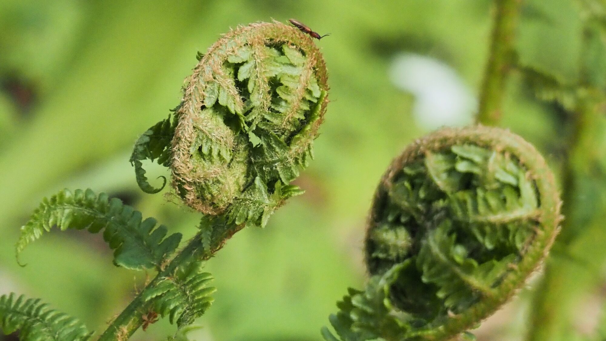 Valokuvaaja: Arja Valtonen