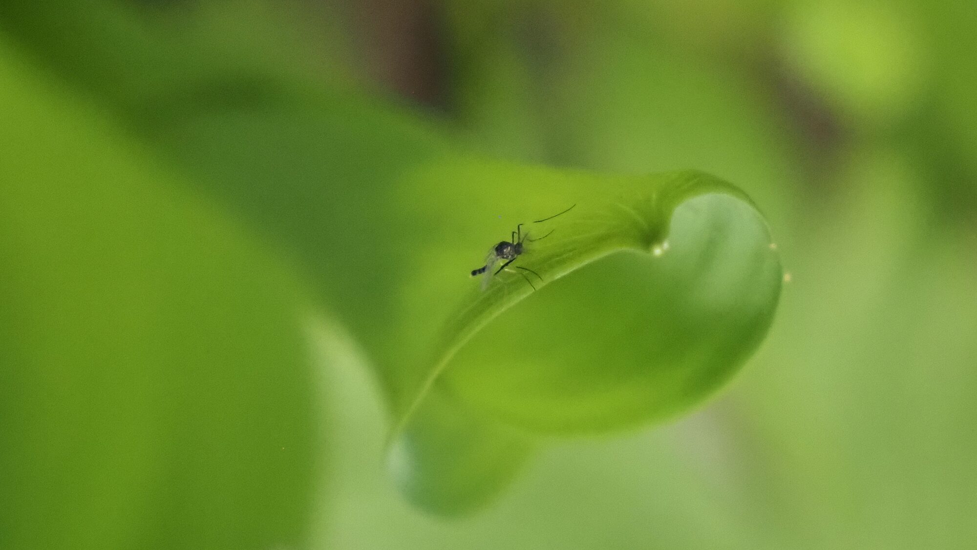 Valokuvaaja: Arja Valtonen