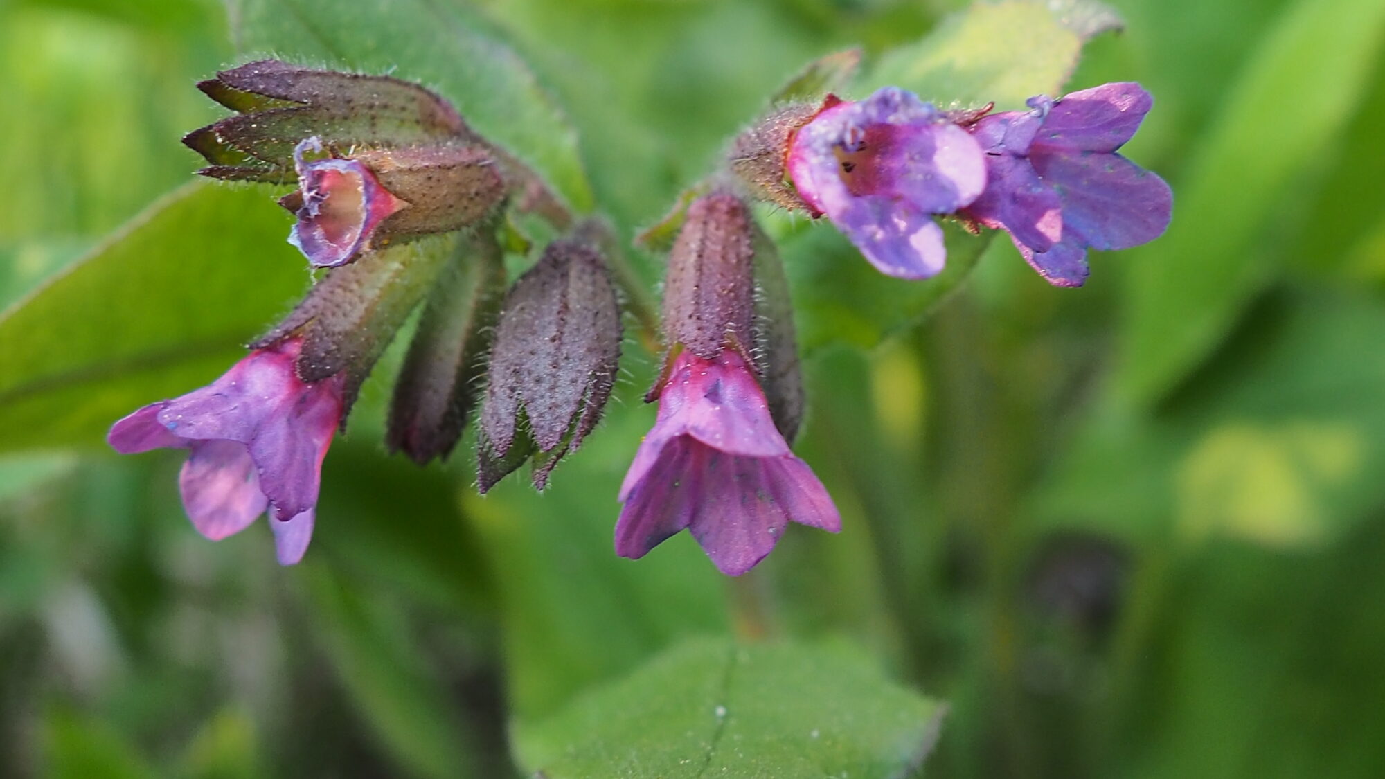 Valokuvaaja: Martti Valtonen