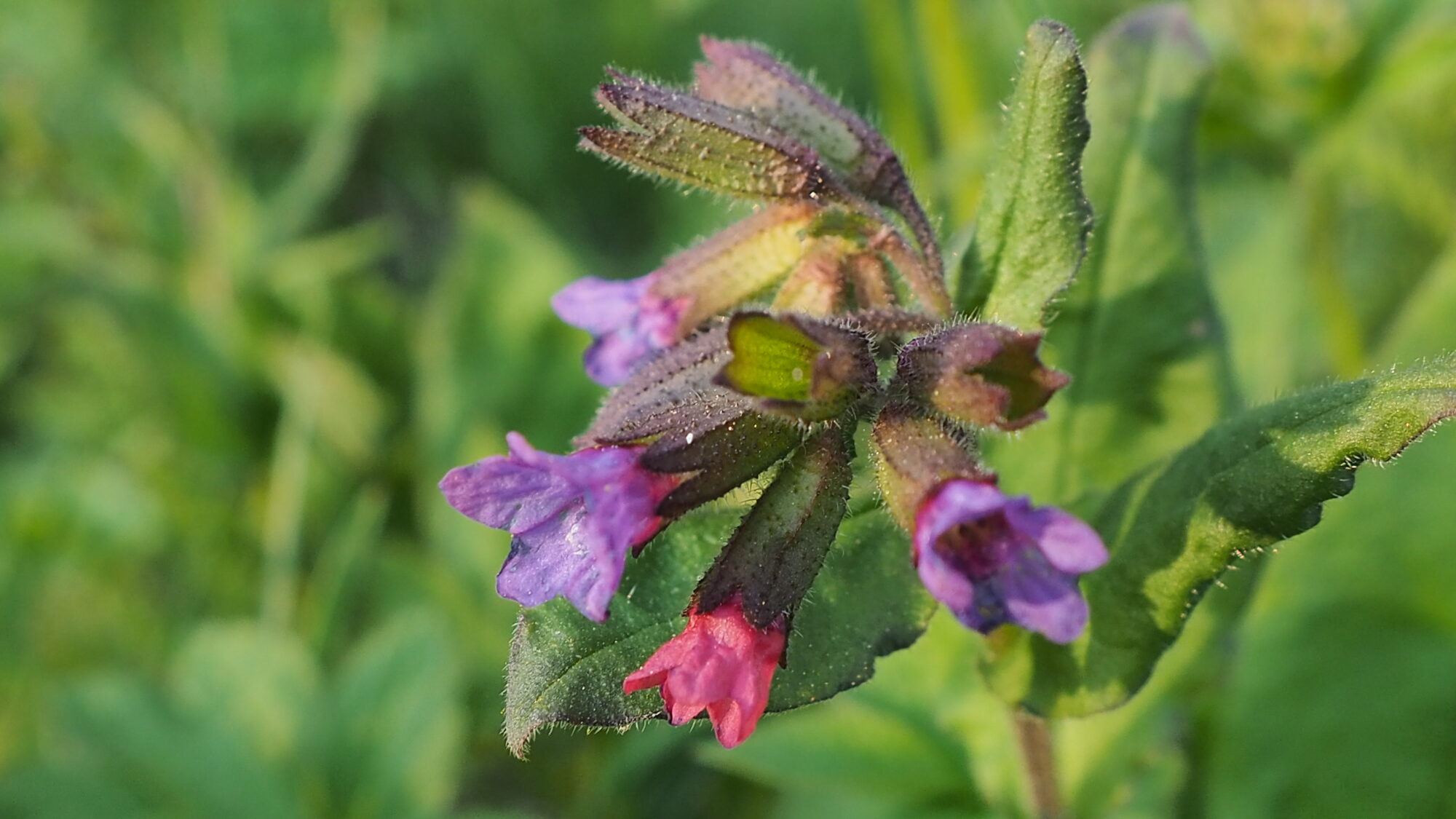 Valokuvaaja: Martti Valtonen