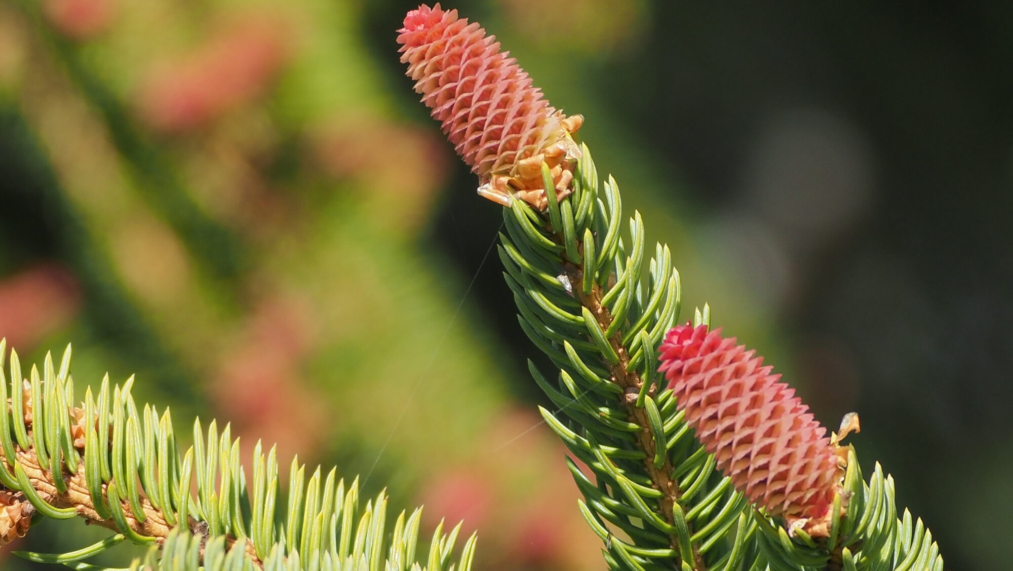 Valokuvaaja: Arja Valtonen