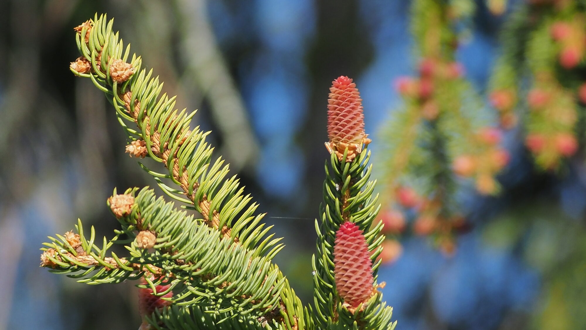 Valokuvaaja: Arja Valtonen