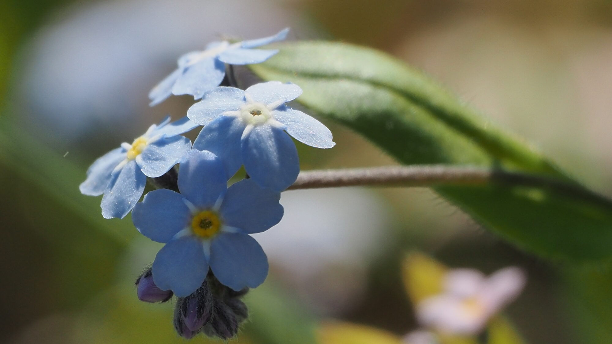 Valokuvaaja: Arja Valtonen