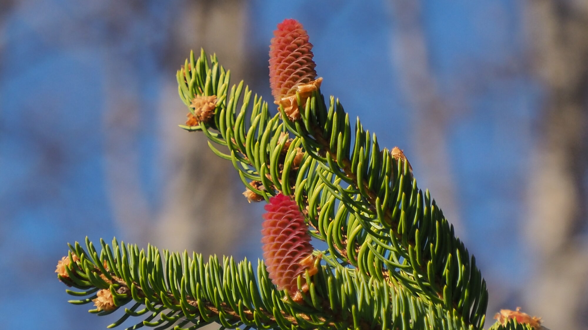Valokuvaaja: Martti Valtonen