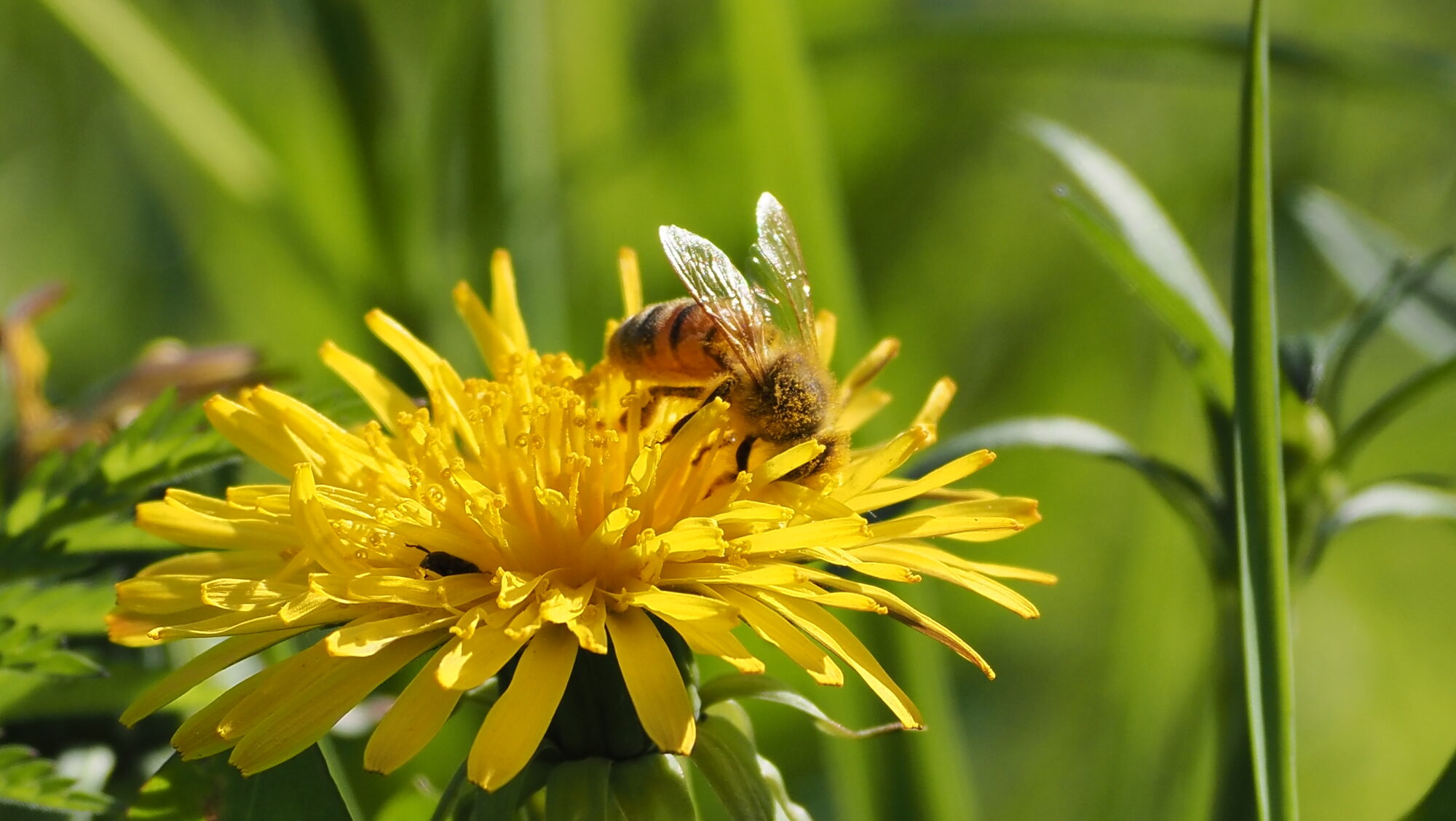 Valokuvaaja: Arja Valtonen