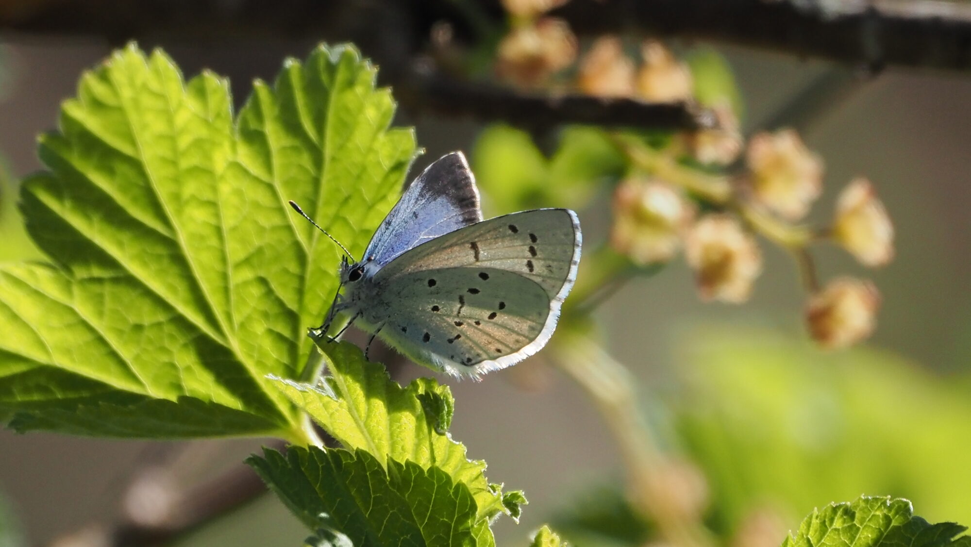 Valokuvaaja: Arja Valtonen