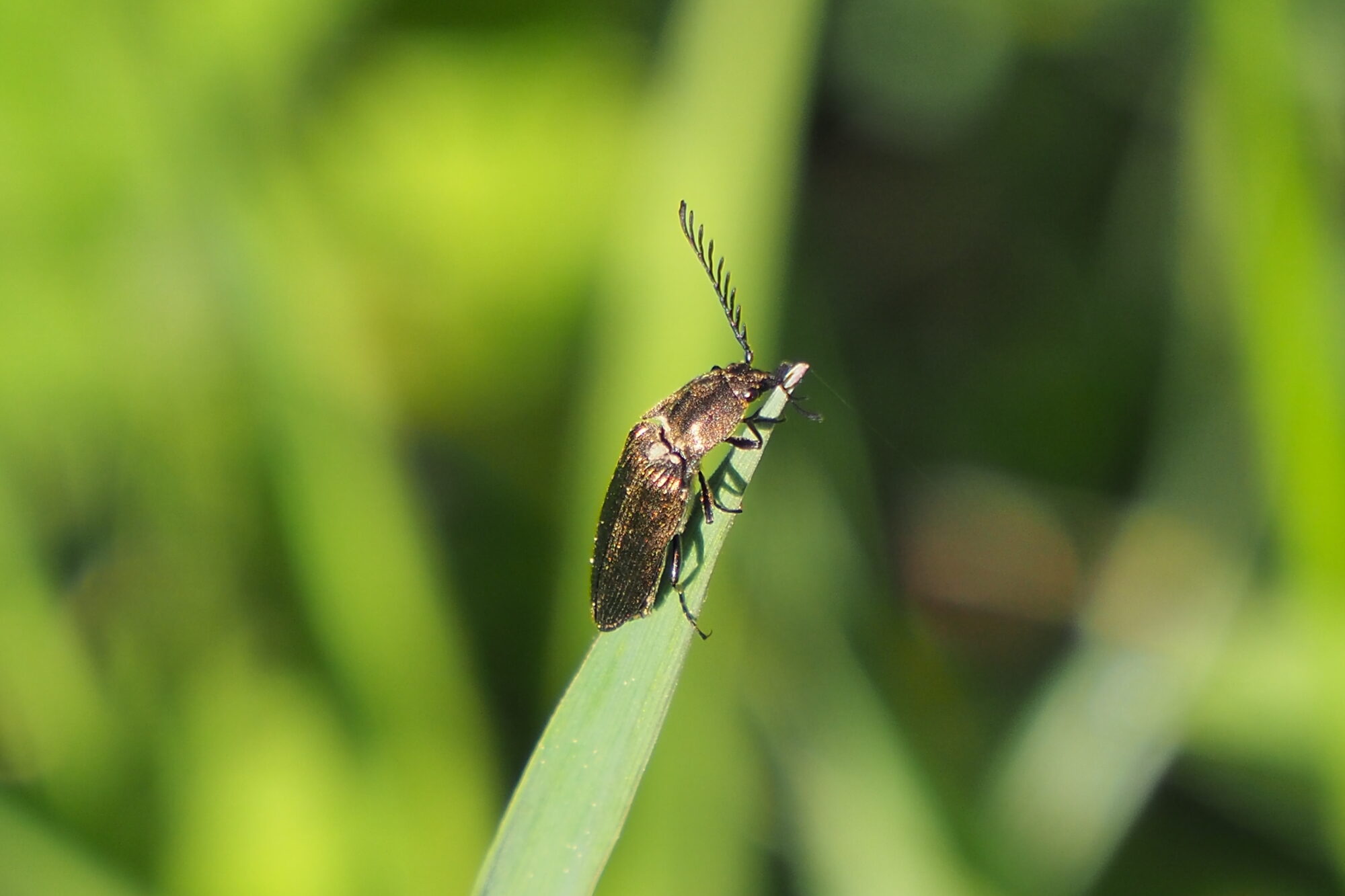 Valokuvaaja: Martti Valtonen