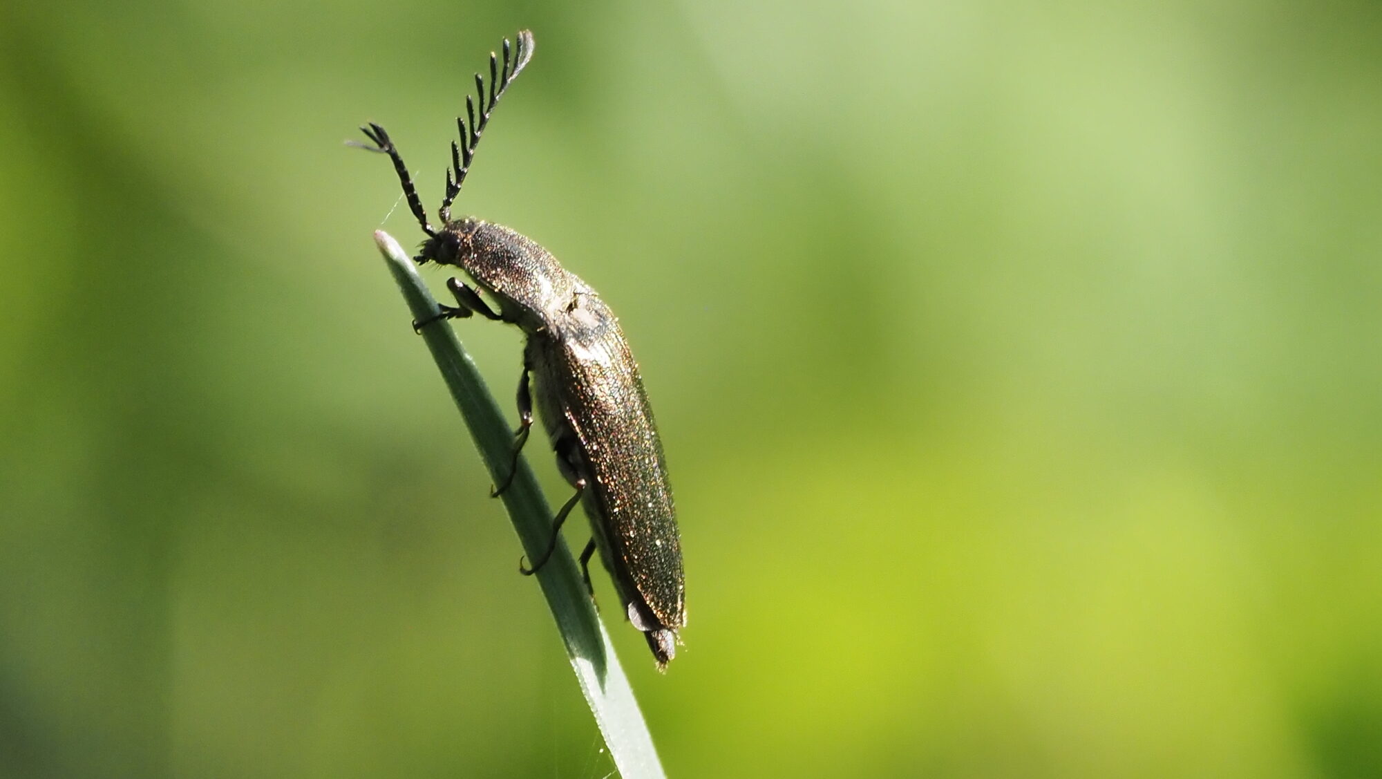 Valokuvaaja: Arja Valtonen