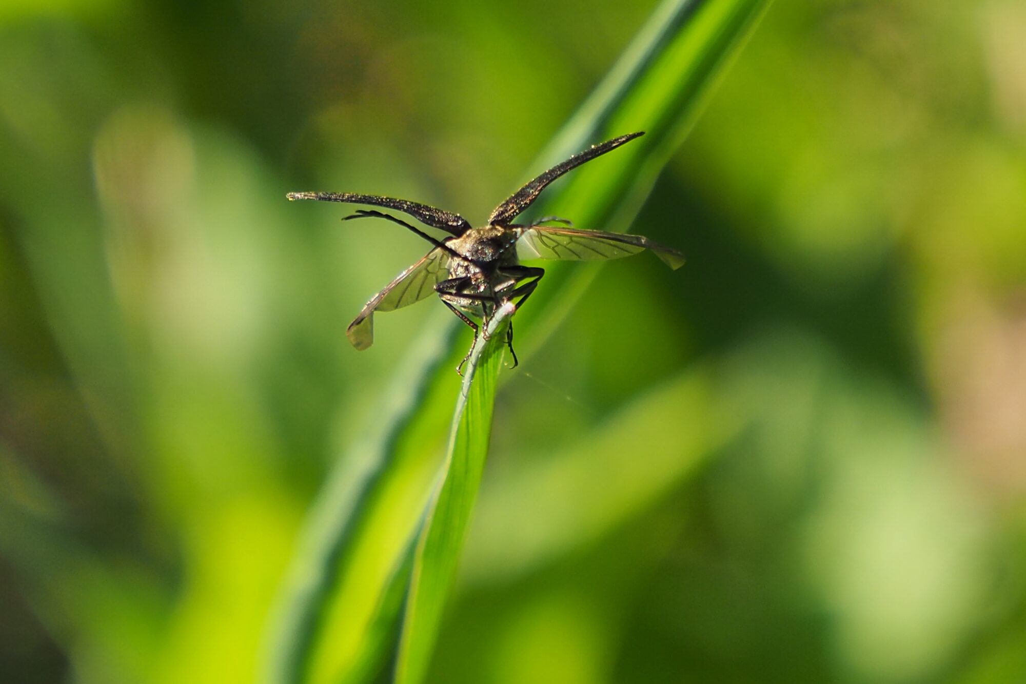 Valokuvaaja: Martti Valtonen