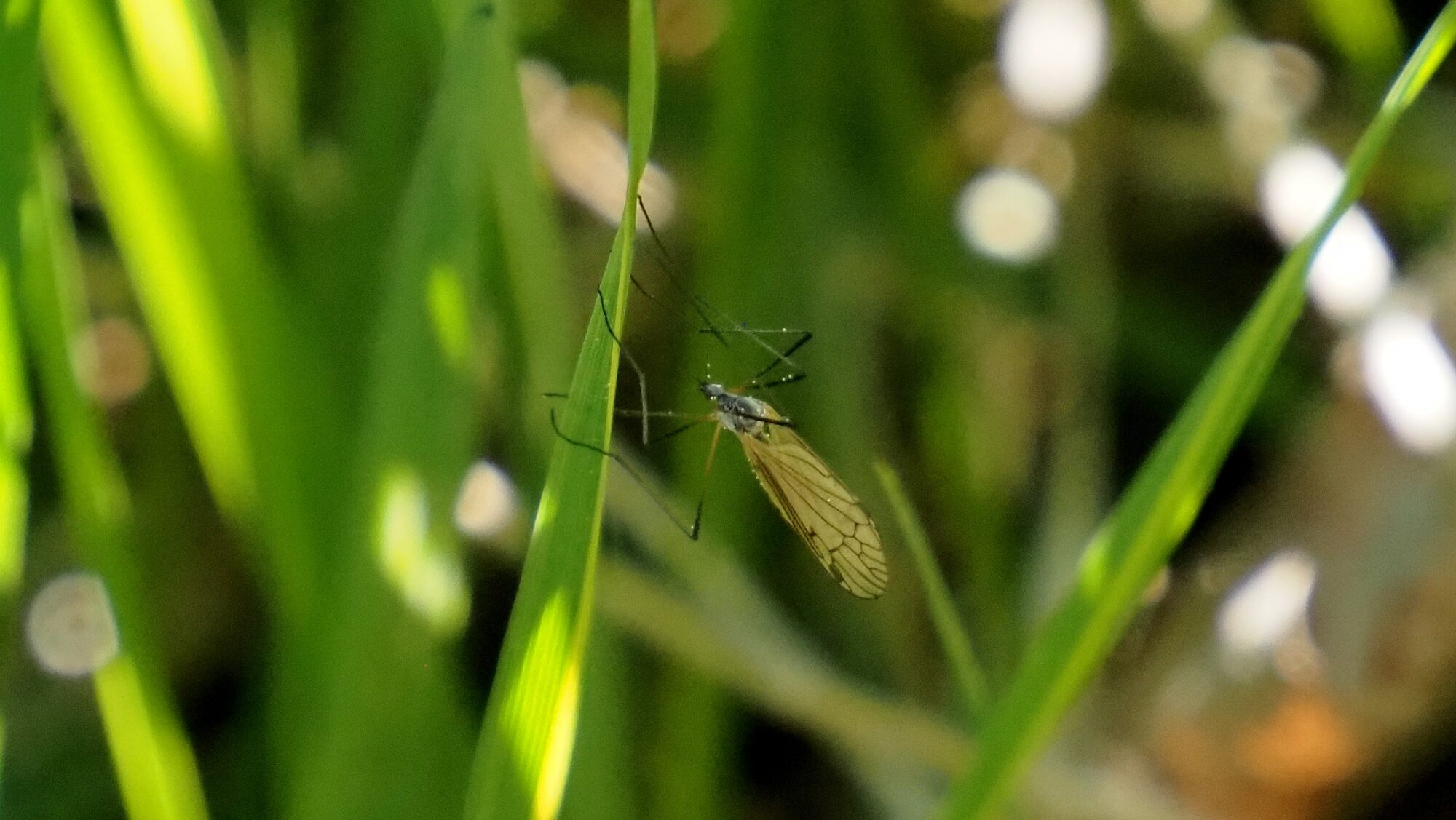 Valokuvaaja: Arja Valtonen